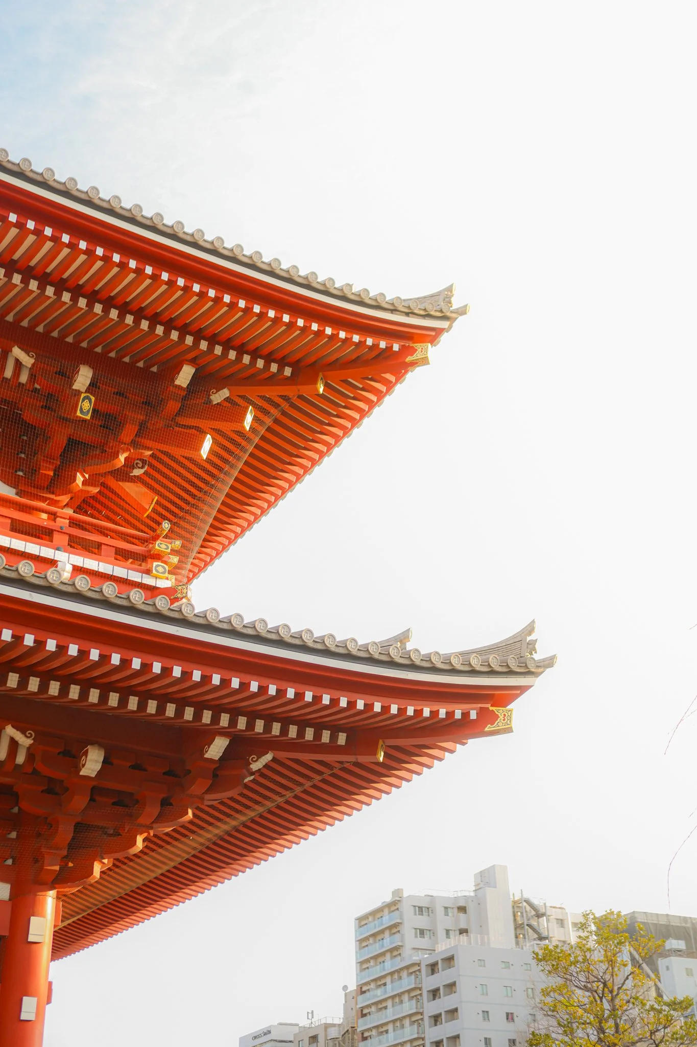 273A0392-2.jpg