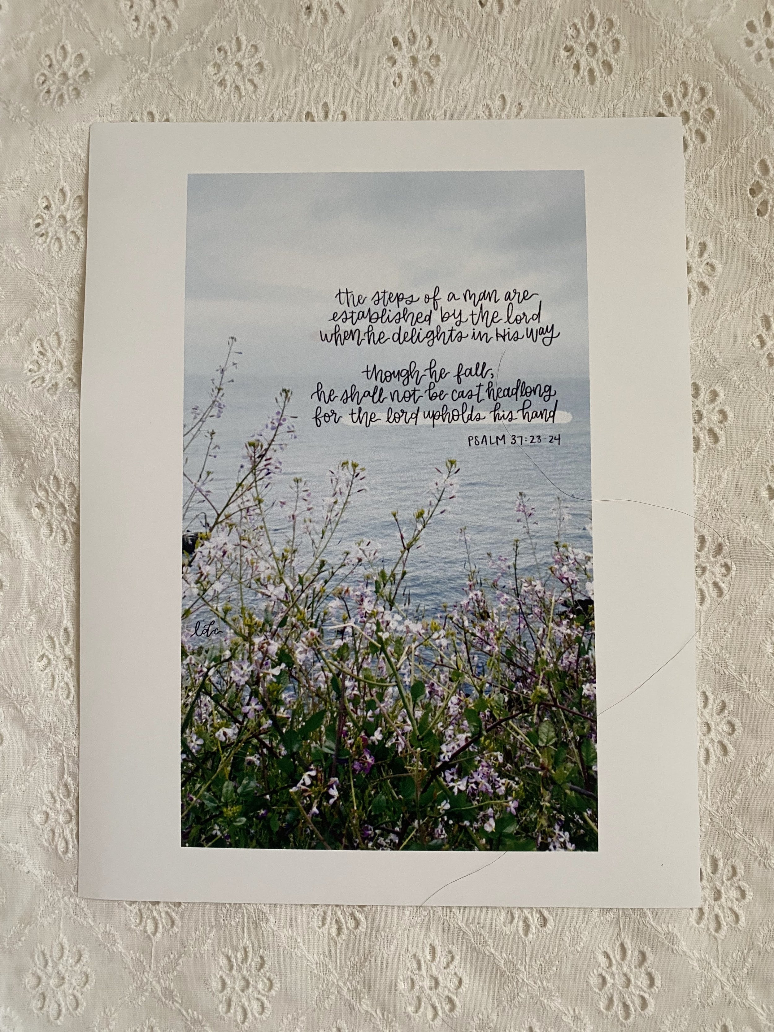 Established Print