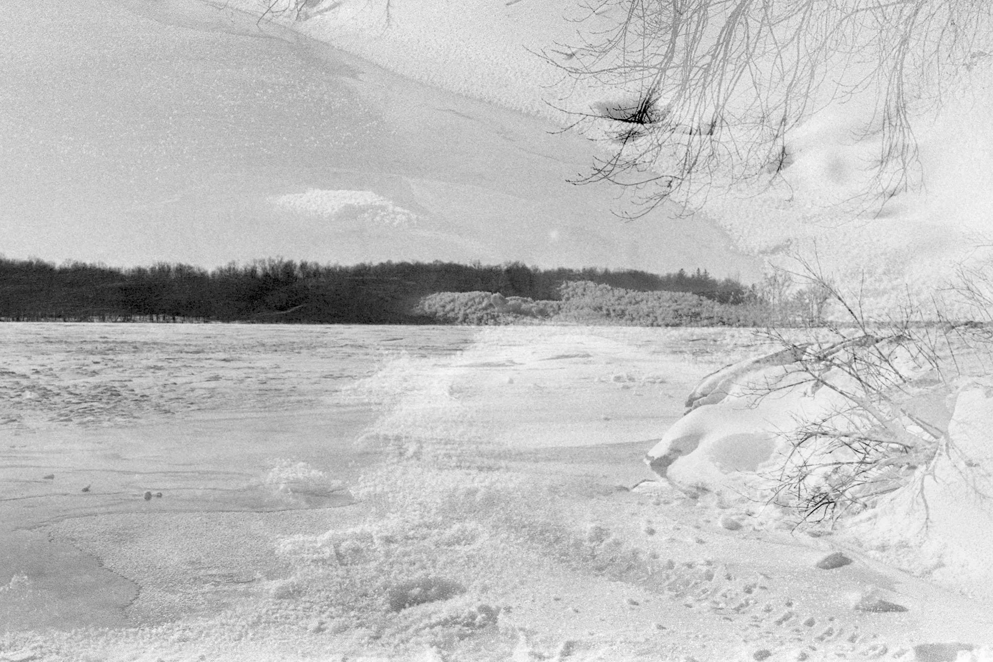 Godot Project_0007_No sharp_Web1.jpg