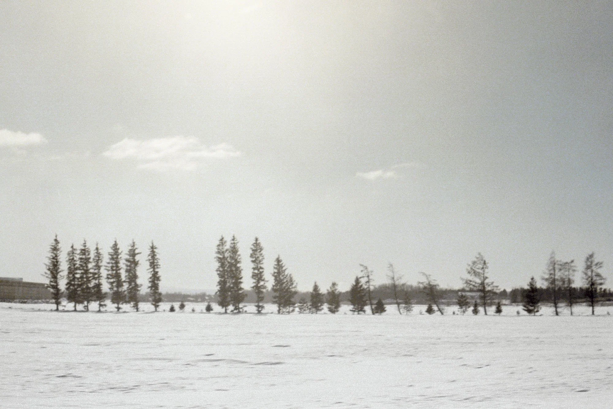 Godot Project_0025_Low Sharp_Web1.jpg