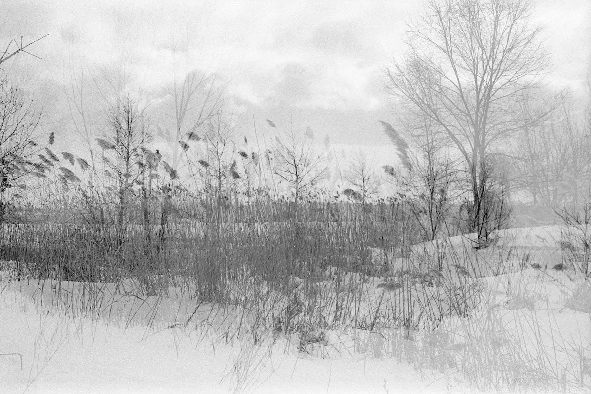 Godot Project_0011_Sharp Low_Web1.jpg