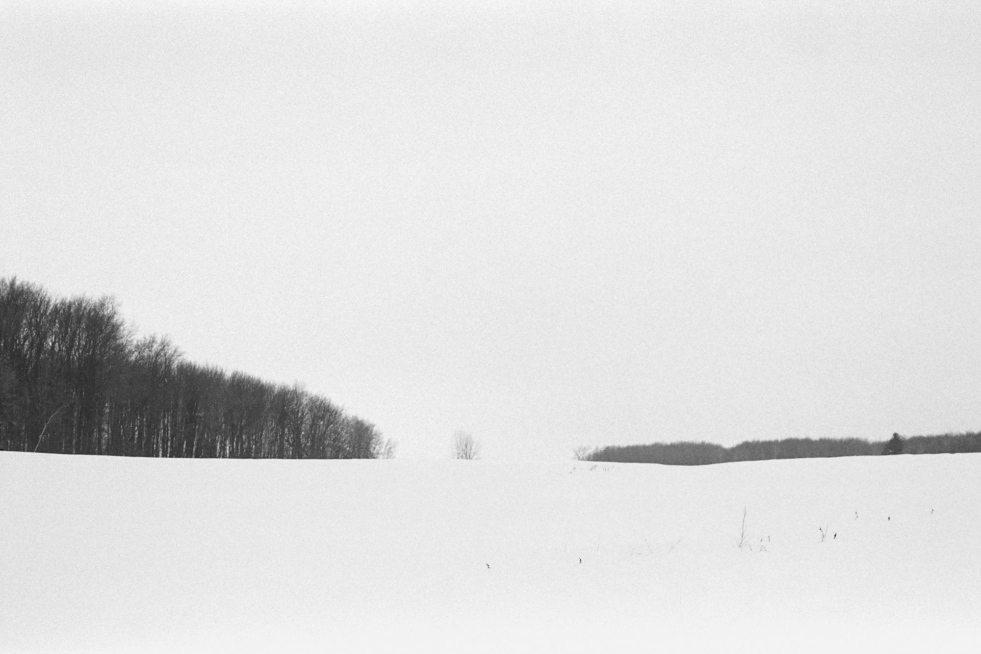 Godot Project_0016_Low Sharp _Web1.jpg