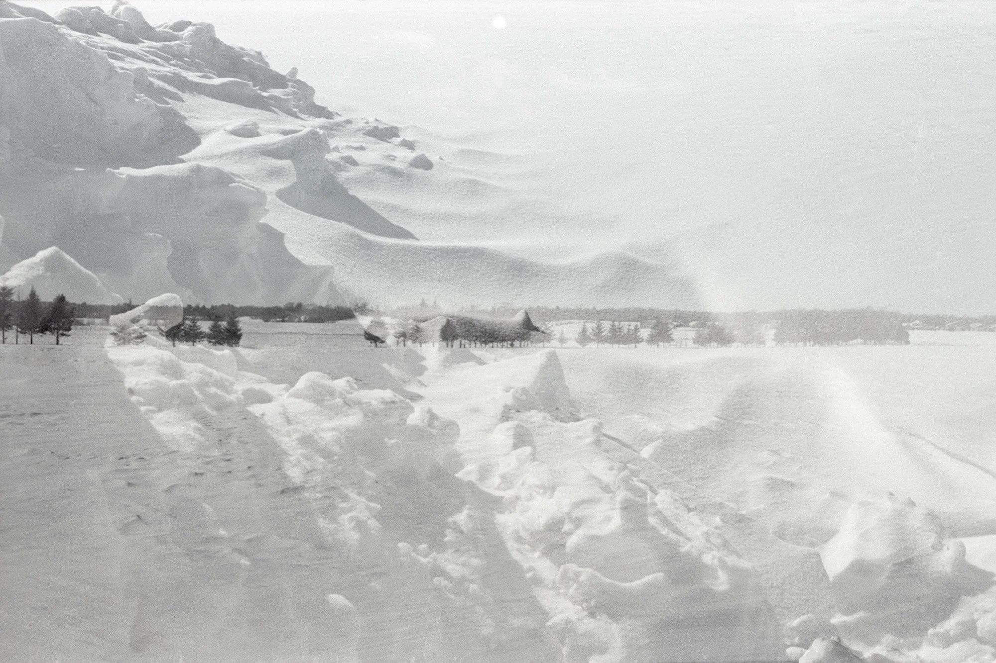 Godot Project_0021_Low Sharp_Web.jpg