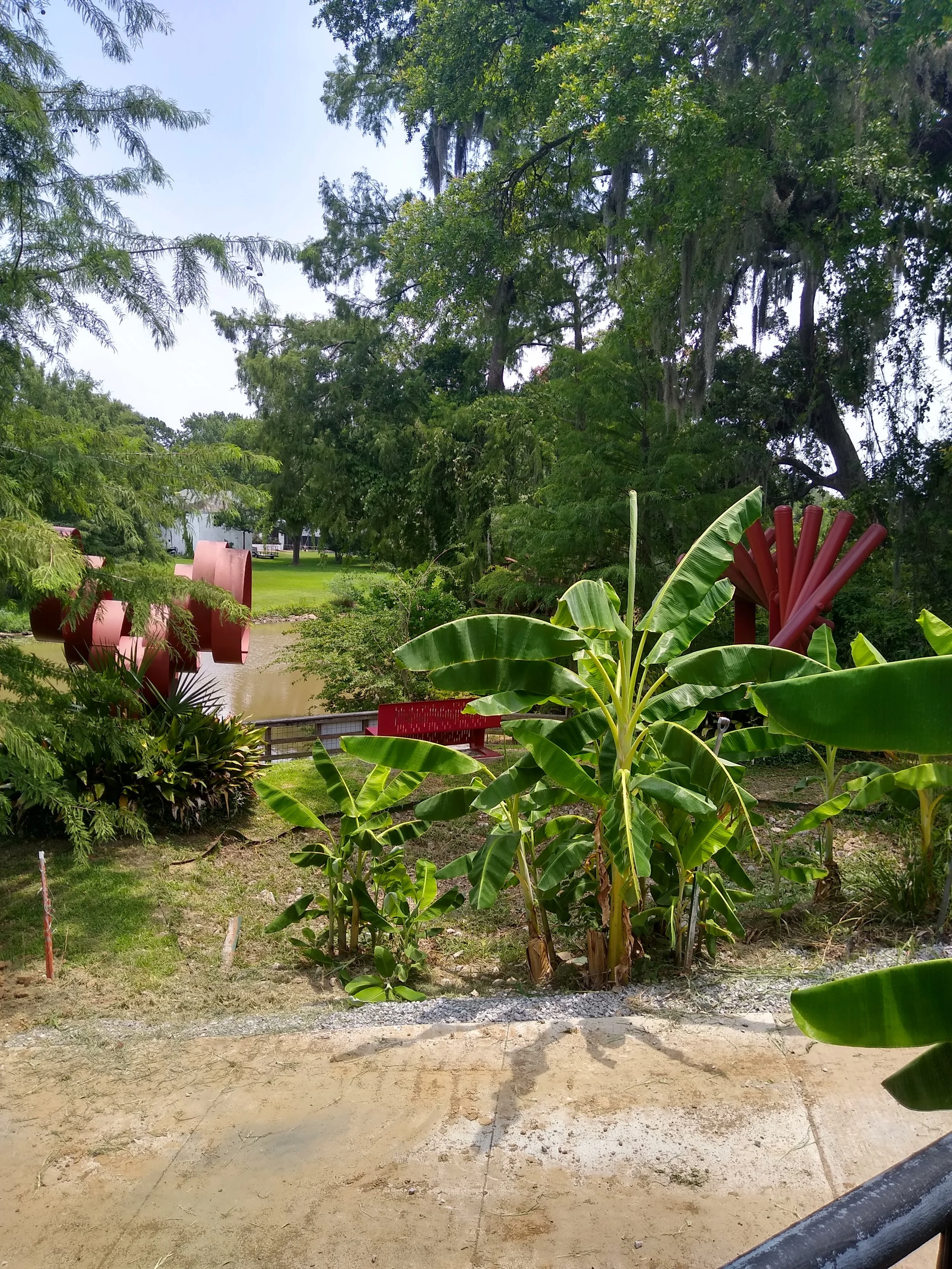 “Finding Peace in a Chaotic World”