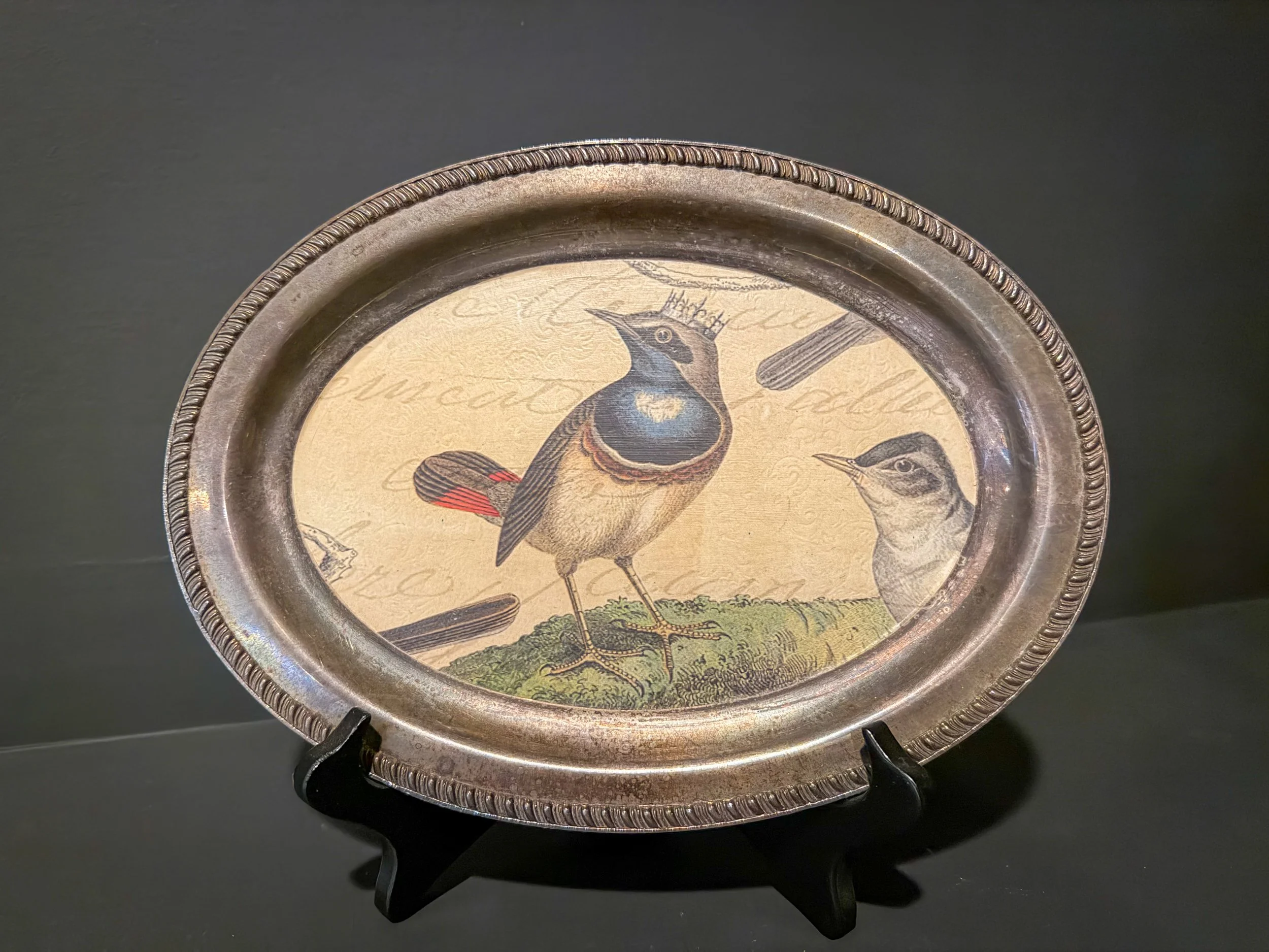 Decorative oval tray with vintage bird illustrations, featuring a prominent bird wearing a crown and other birds, on a dark background