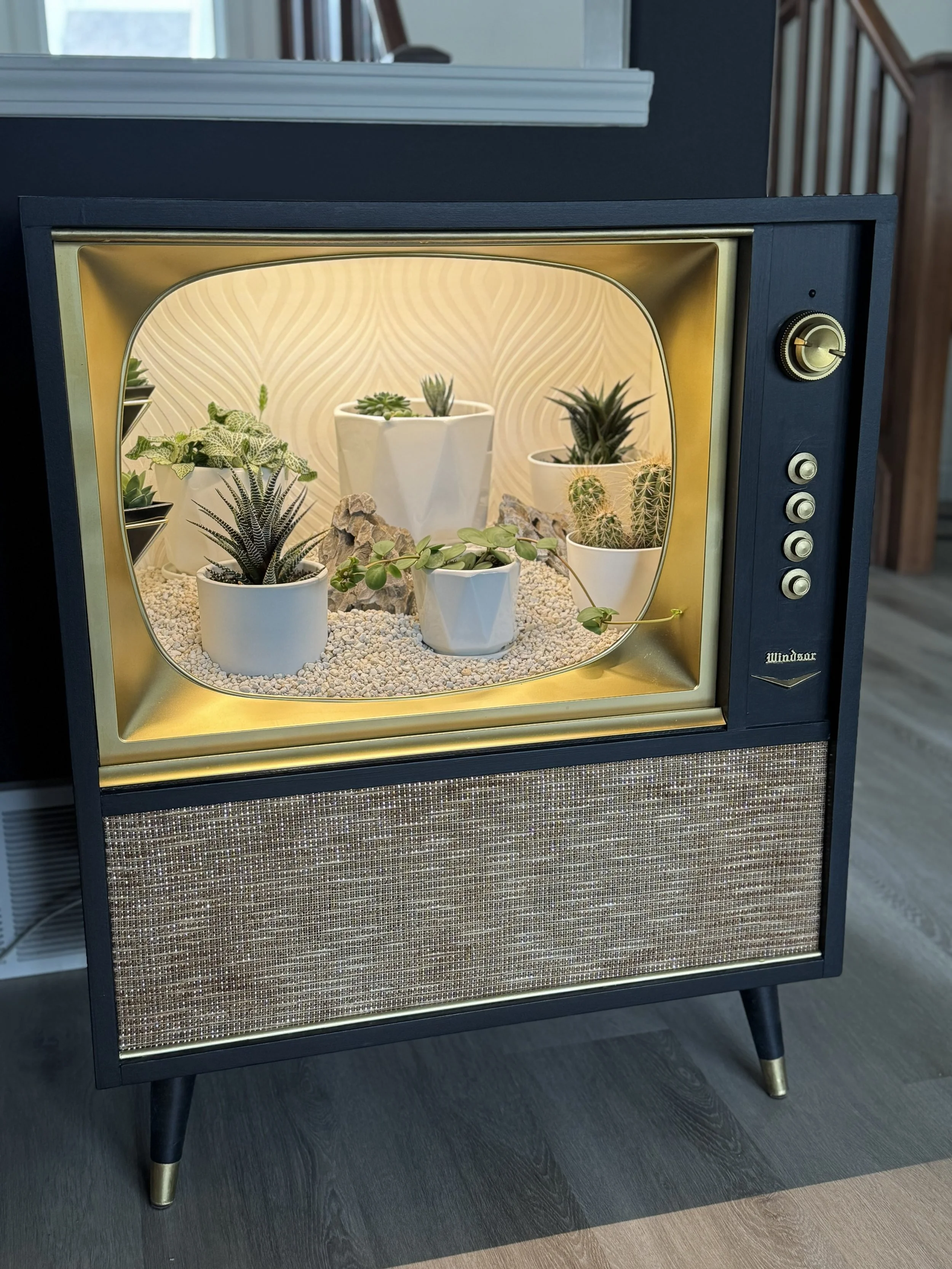 A vintage TV with a black frame and gold interior displaying potted succulents and cacti on a shelf inside.