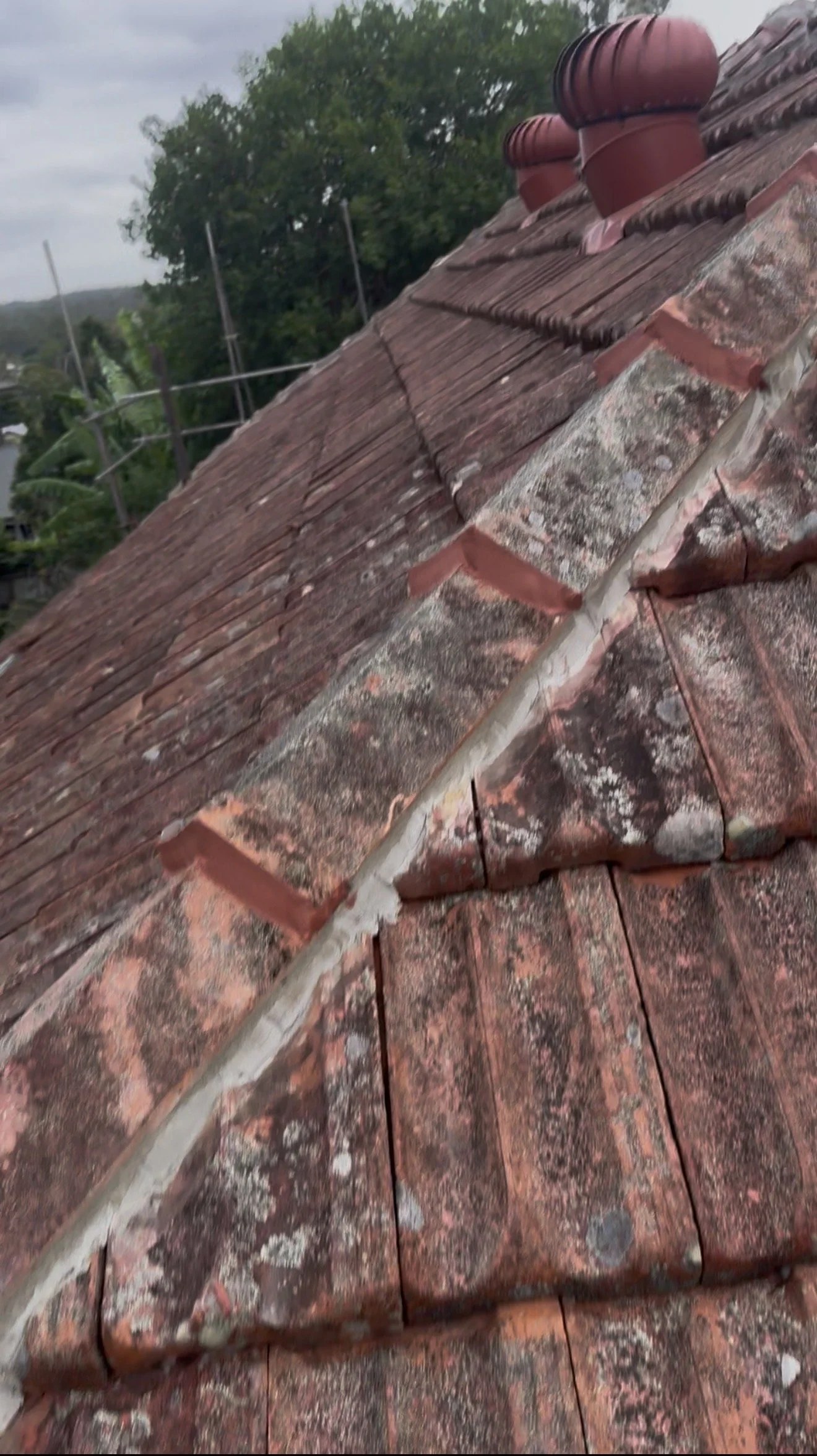 Close-up of a weathered, moss-covered red tile roof with some broken and loose tiles, and two chimney pots at the top.