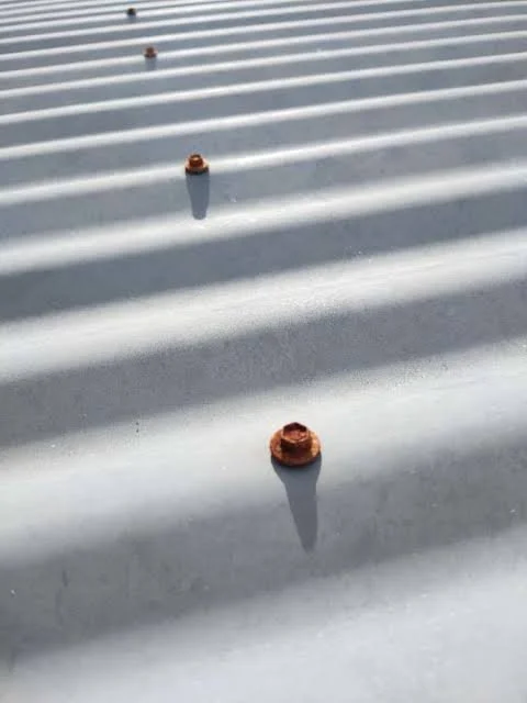 Close-up of a metal surface with evenly spaced rusted screws and shadows cast by a light source.