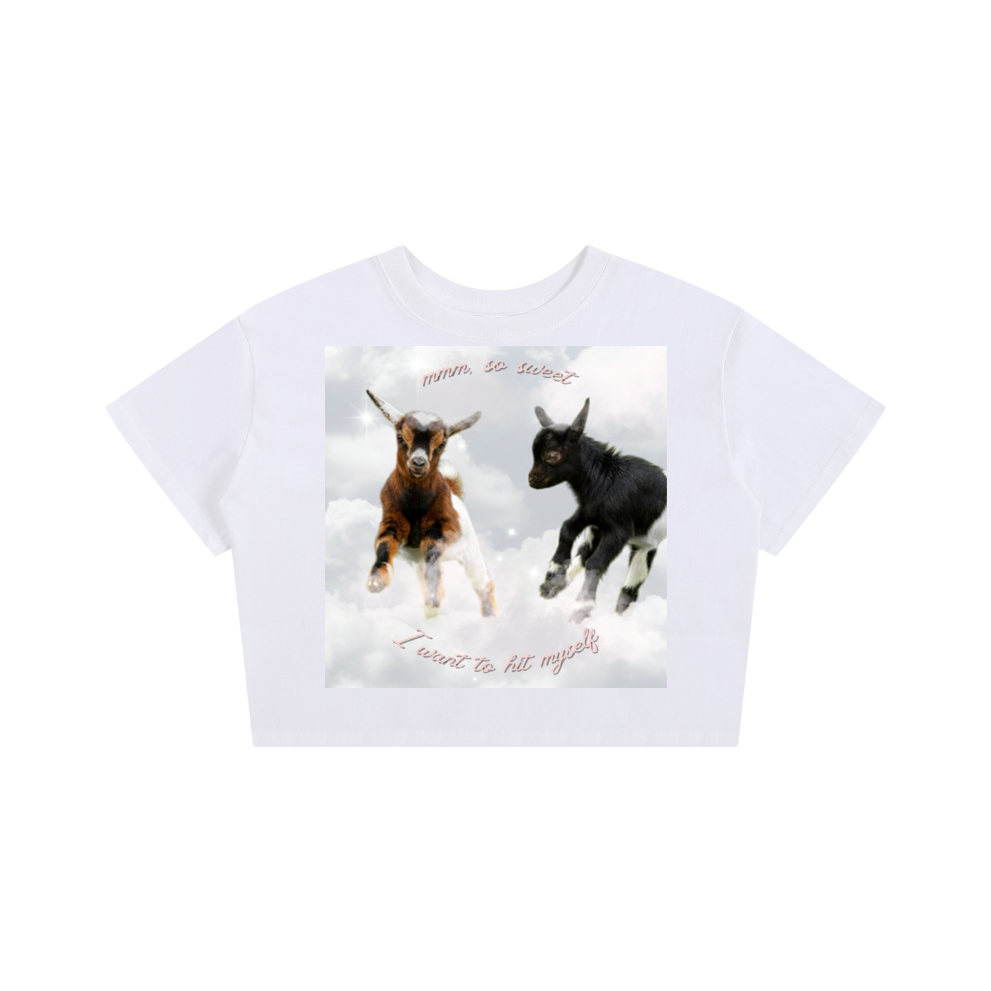 48d0f95ae8d54562827158a25316335d (1).png