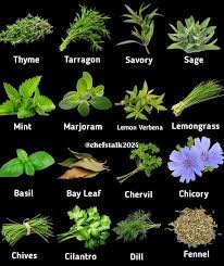 Coming Soon- Fresh Vegetables and Herbs