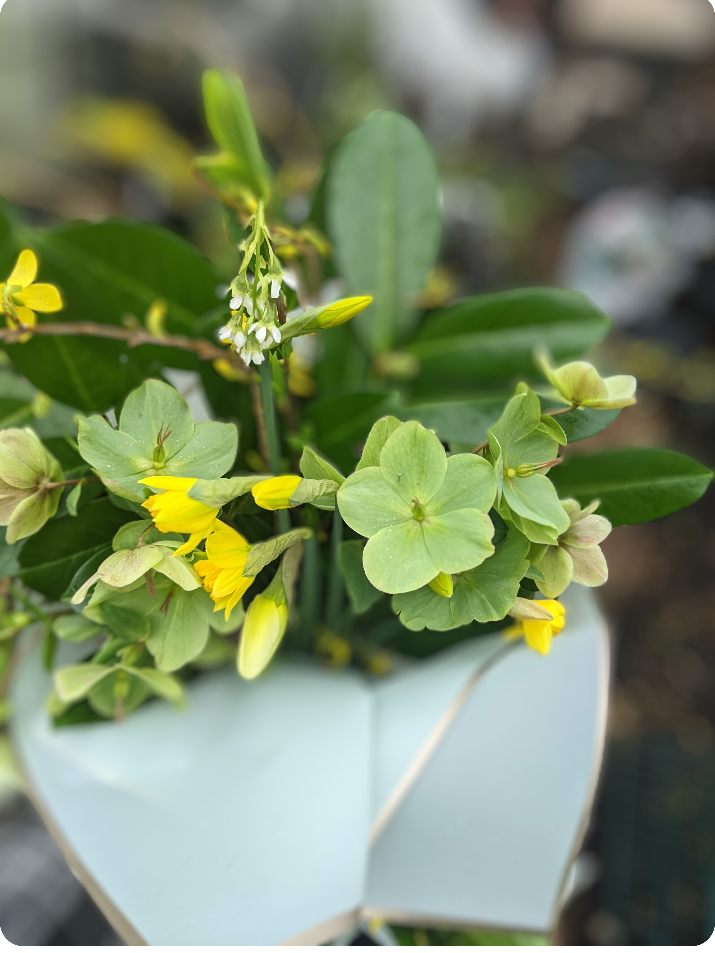 CSA Bi Weekly (6 bouquets) — $150