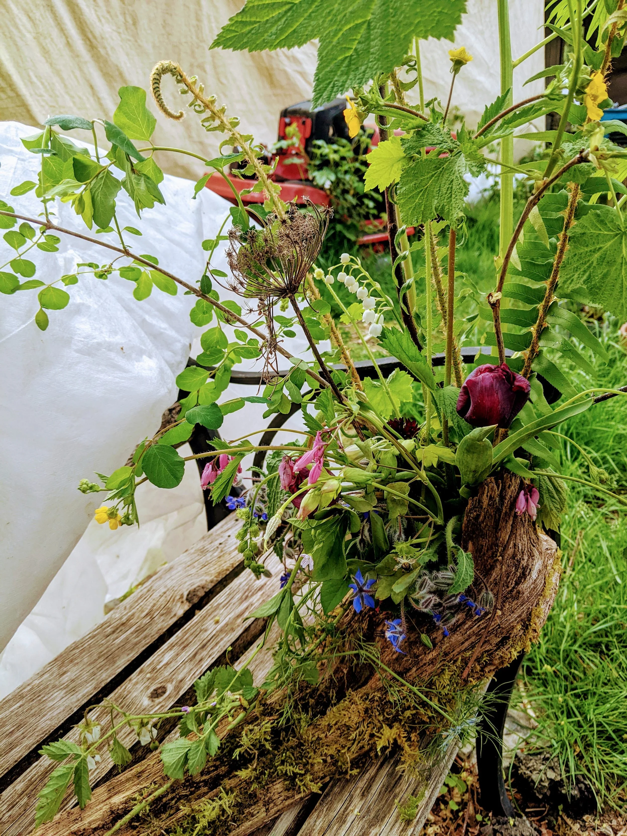 A close-up of a rustic wooden planter filled with a variety of wildflowers and greenery, with some leaves and small flowers spilling over the edges, set outdoors on a weathered wooden surface.