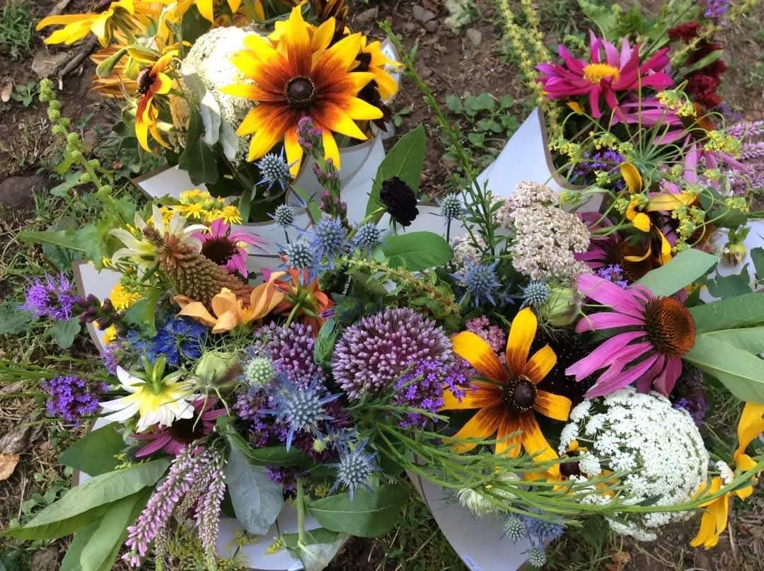 CSA- Spring/ Summer- 11 Weeks