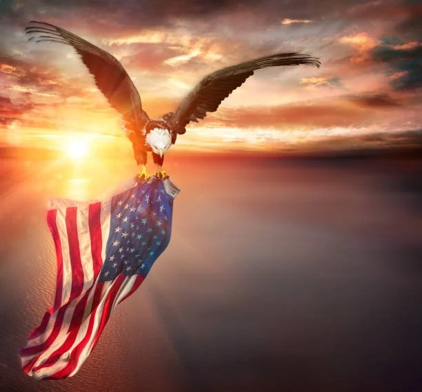 An eagle flying at sunset holding an American flag in its talons.