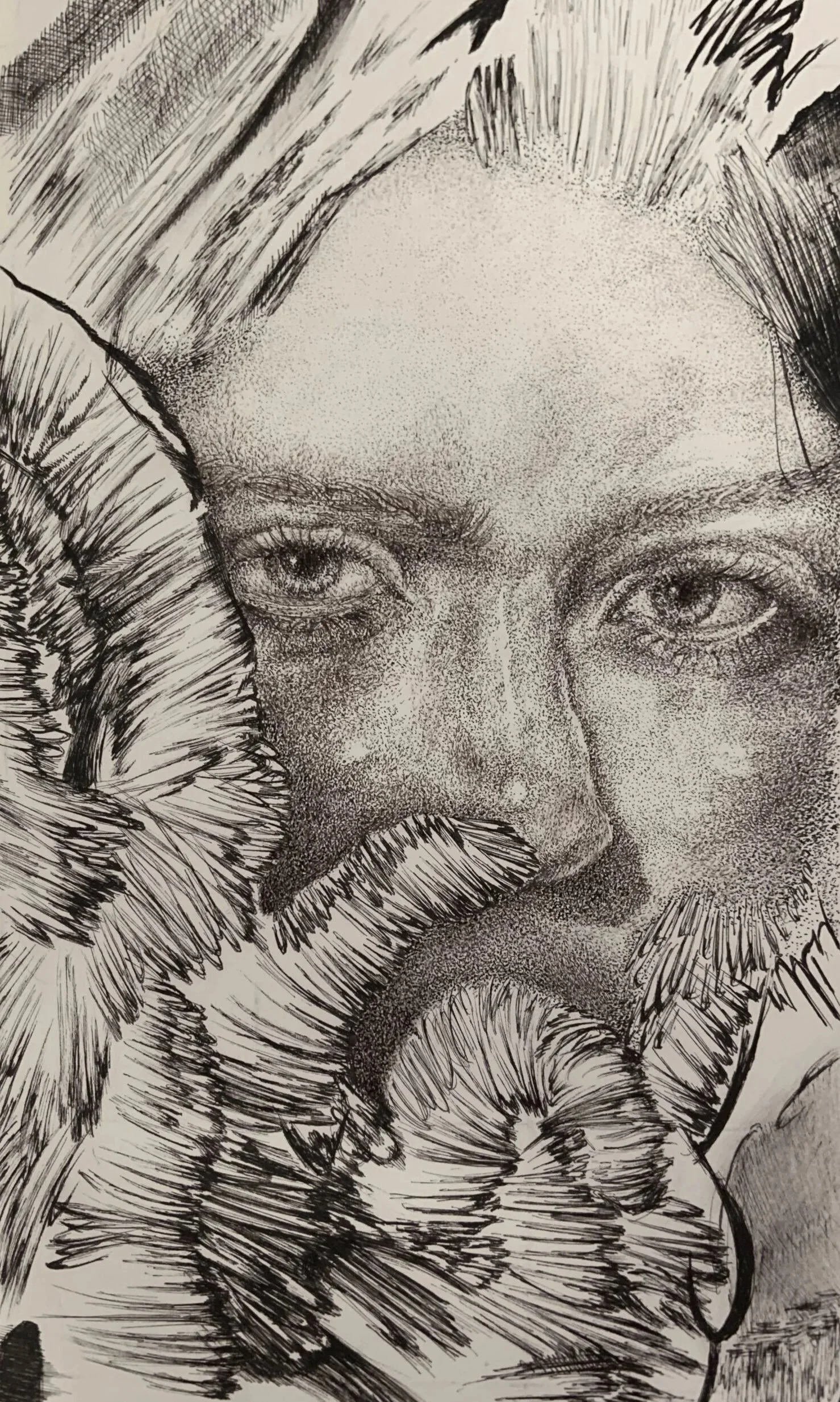 A detailed black and white drawing of a man's face with a serious expression, partially obscured by thick, textured lines resembling fur or hair, with prominent eyebrows, eyes, nose, and lips.