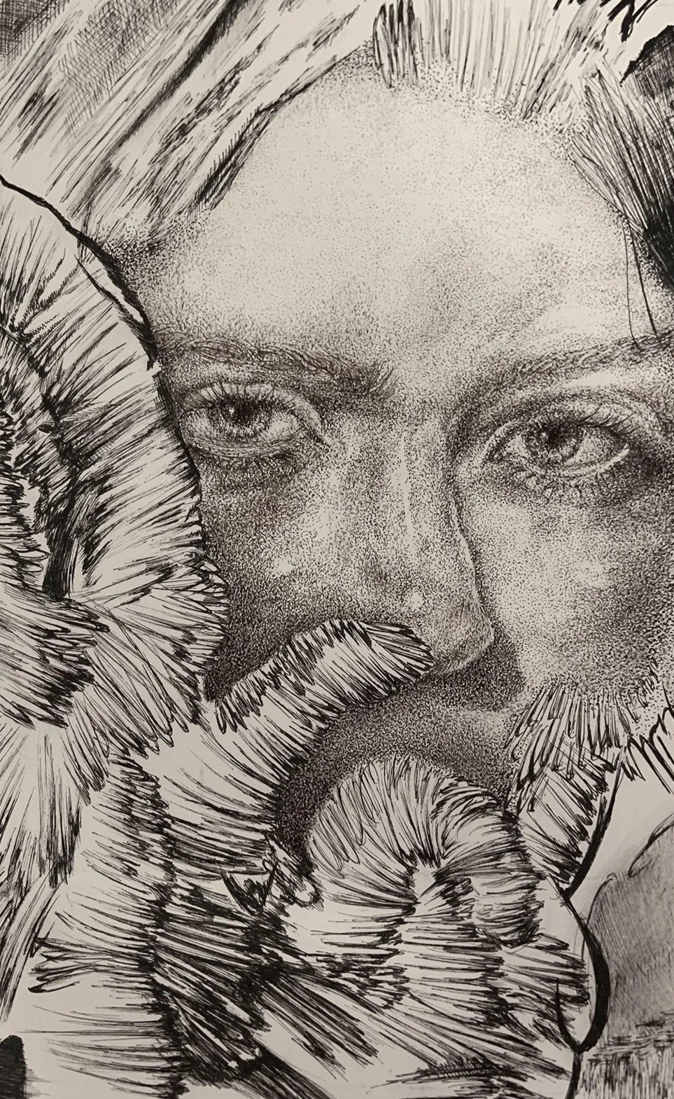 A detailed black-and-white ink drawing of a man's face with piercing eyes, a mustache, and beard, surrounded by large mushrooms.