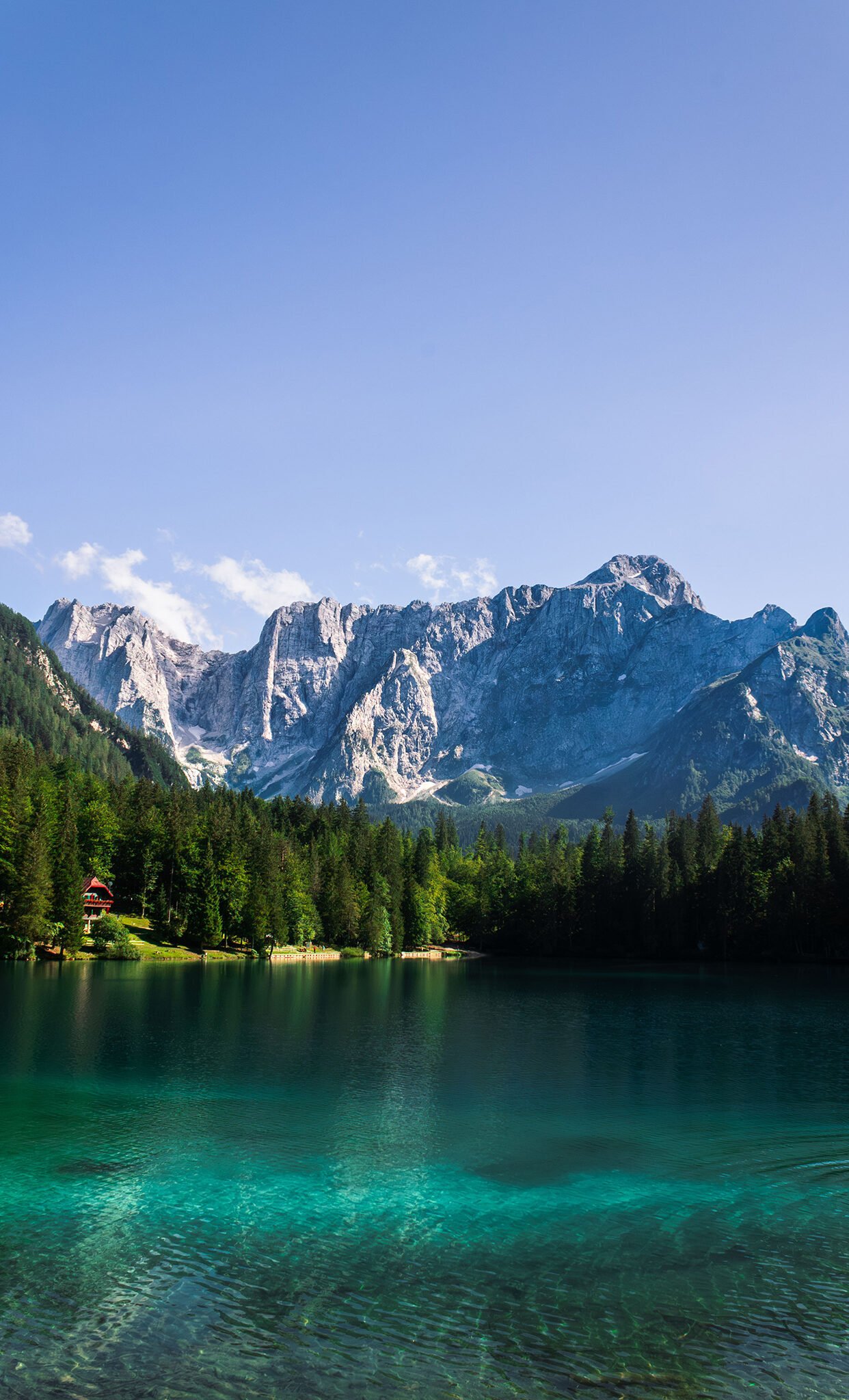 Scenic view of a mountain lake with clear turquoise water, surrounded by dense green trees and towering rocky mountains under a clear blue sky.