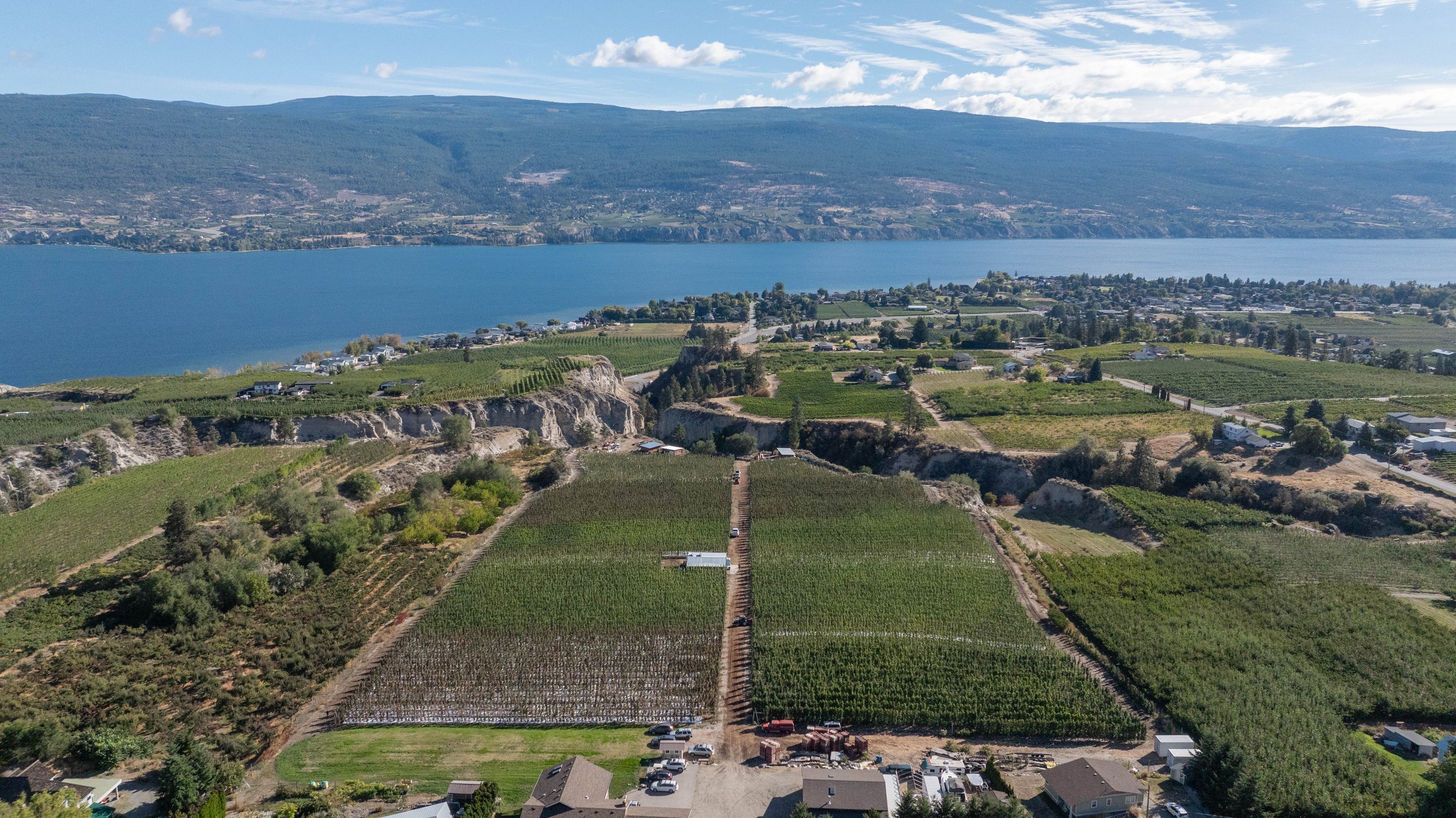 An apple orchard in Summerland, BC