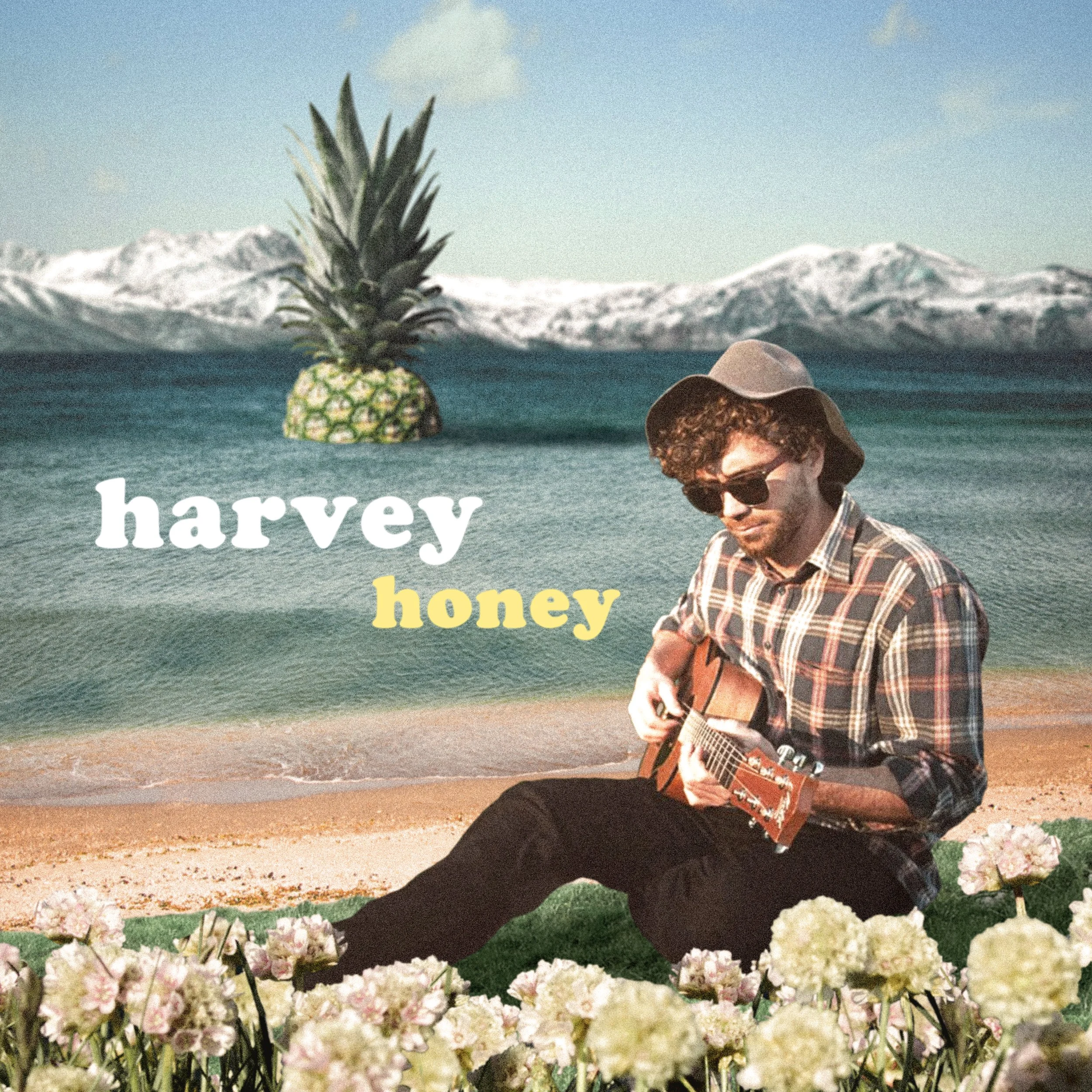 A man wearing sunglasses and a hat, playing guitar on a beach with flowers in the foreground. An illustrated pineapple and mountain range are in the background with the text 'harvey honey'.
