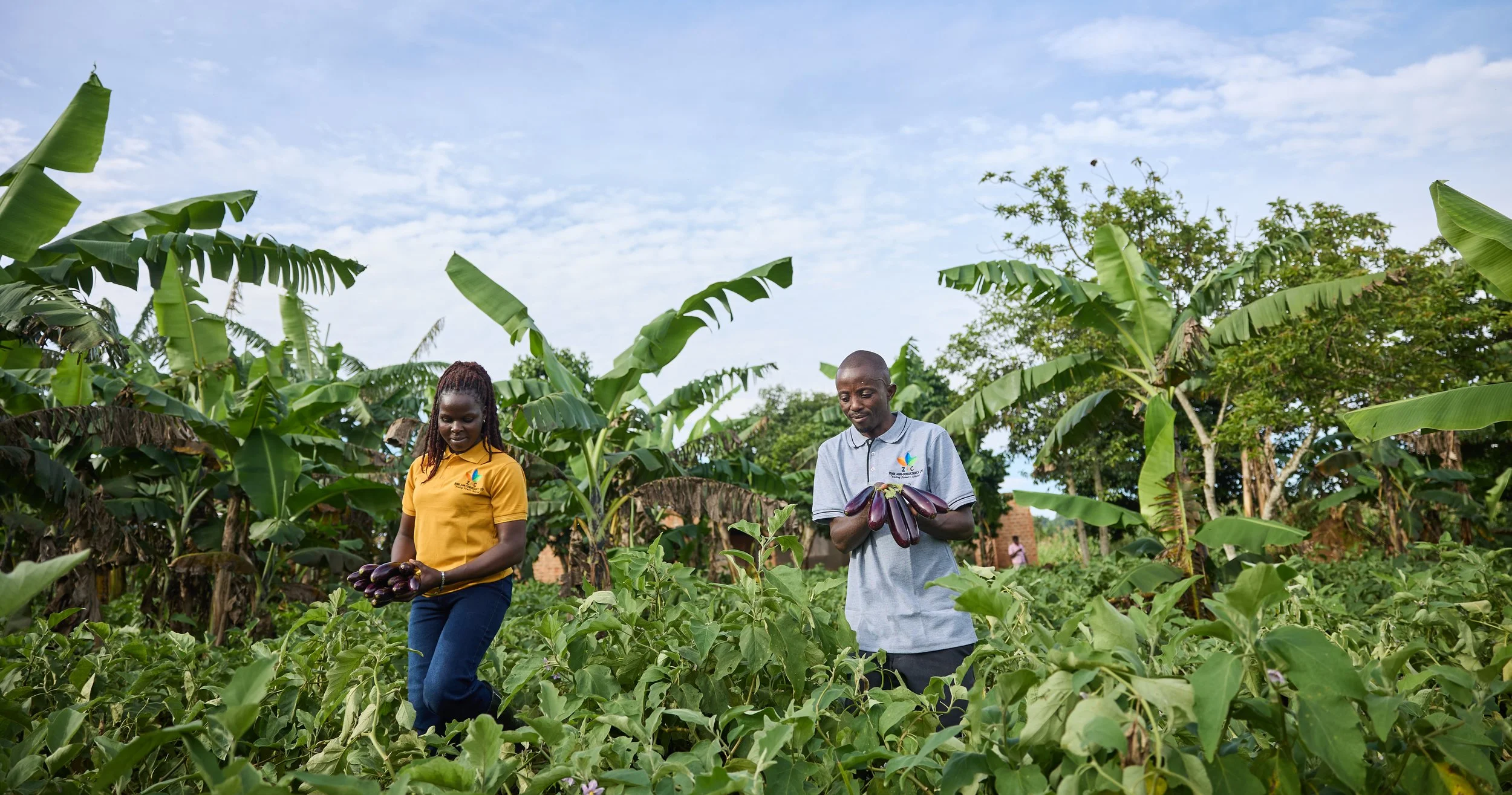 Documentary image showing the people, produce, and systems behind agricultural exports and livelihoods in Uganda.