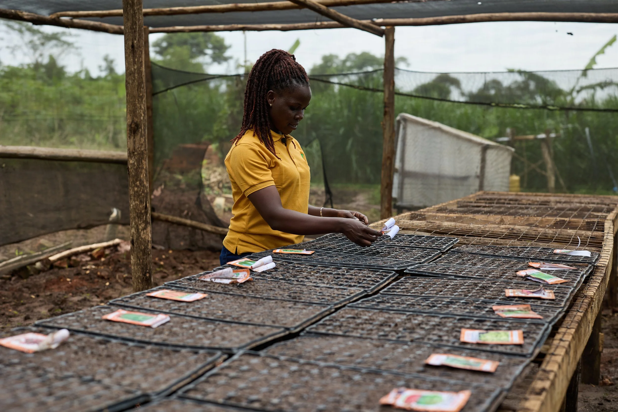 Firefly Collective documentary photography for ZAC Exports, a Ugandan agribusiness connecting local produce to wider markets.