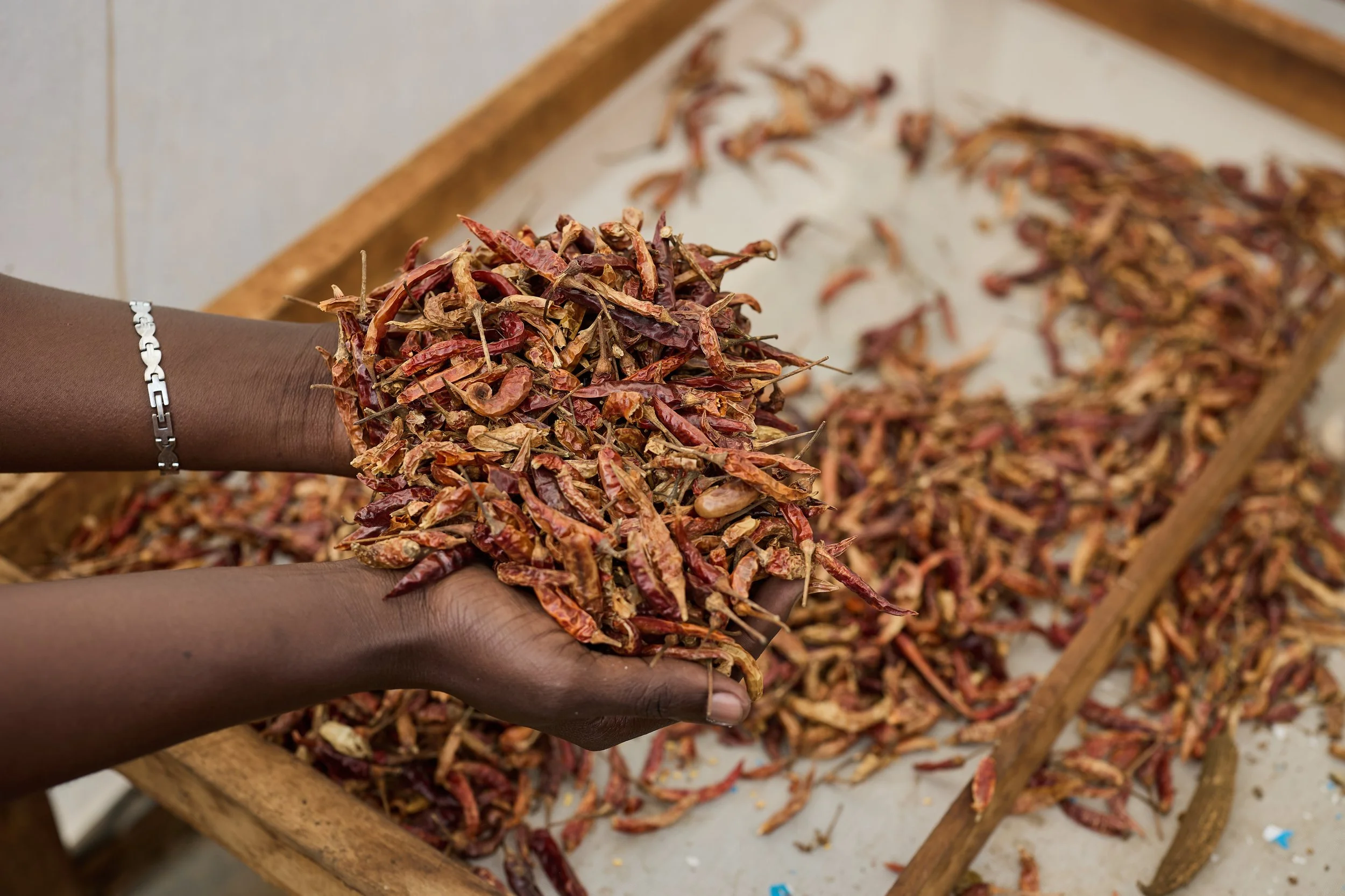 Visual story for ZAC Exports documenting produce collection, grading, packaging, and agricultural exports in Uganda.
