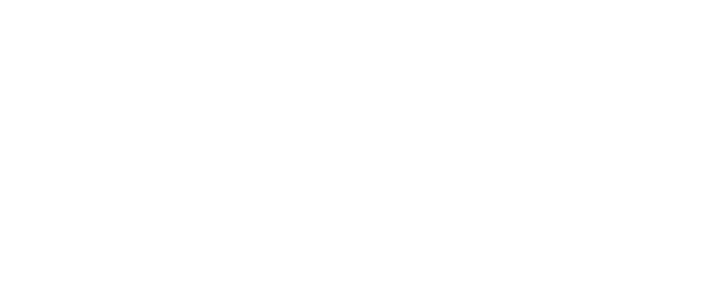 Pioneer Ministry