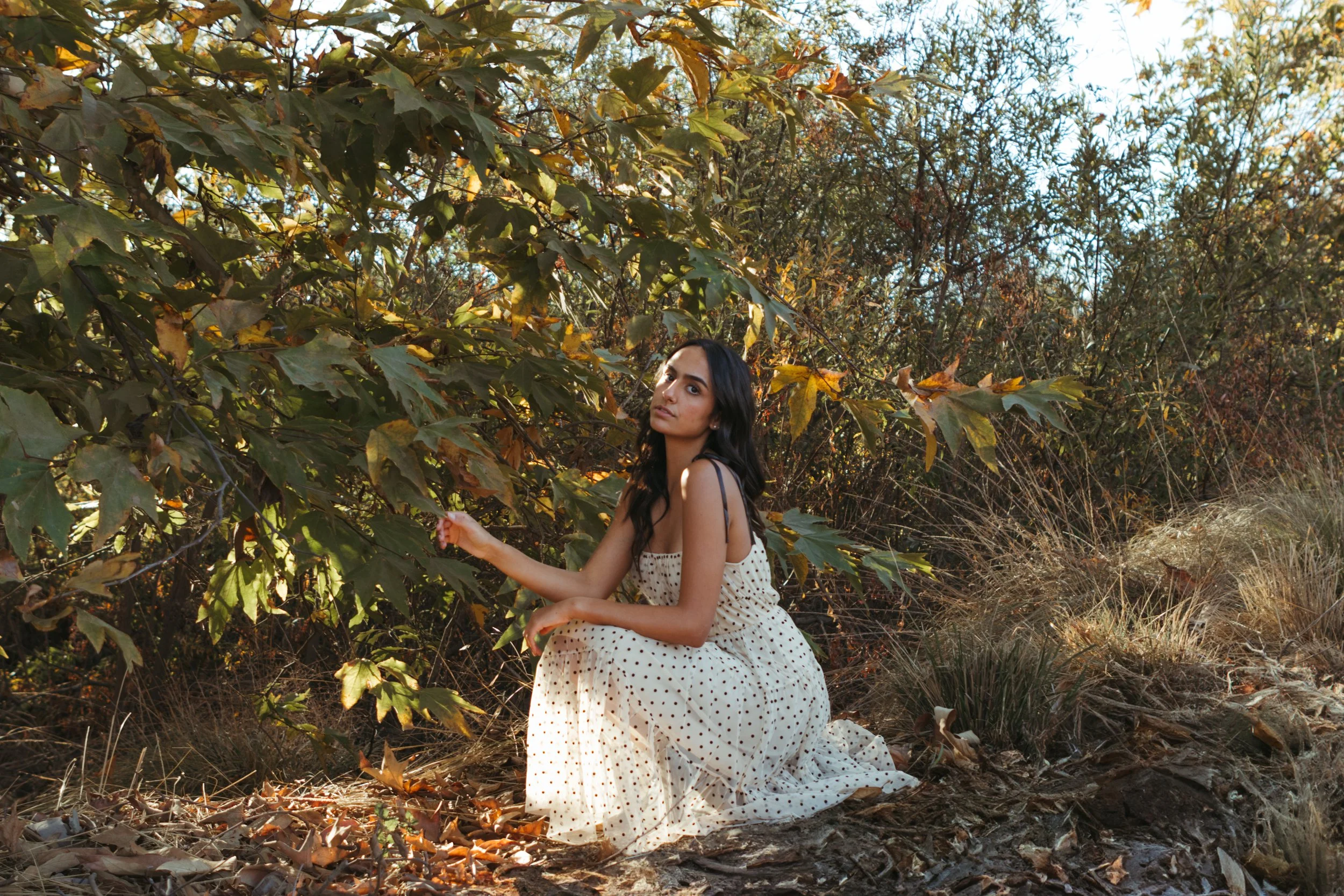 Ashley Lien | Discover & Connect Today