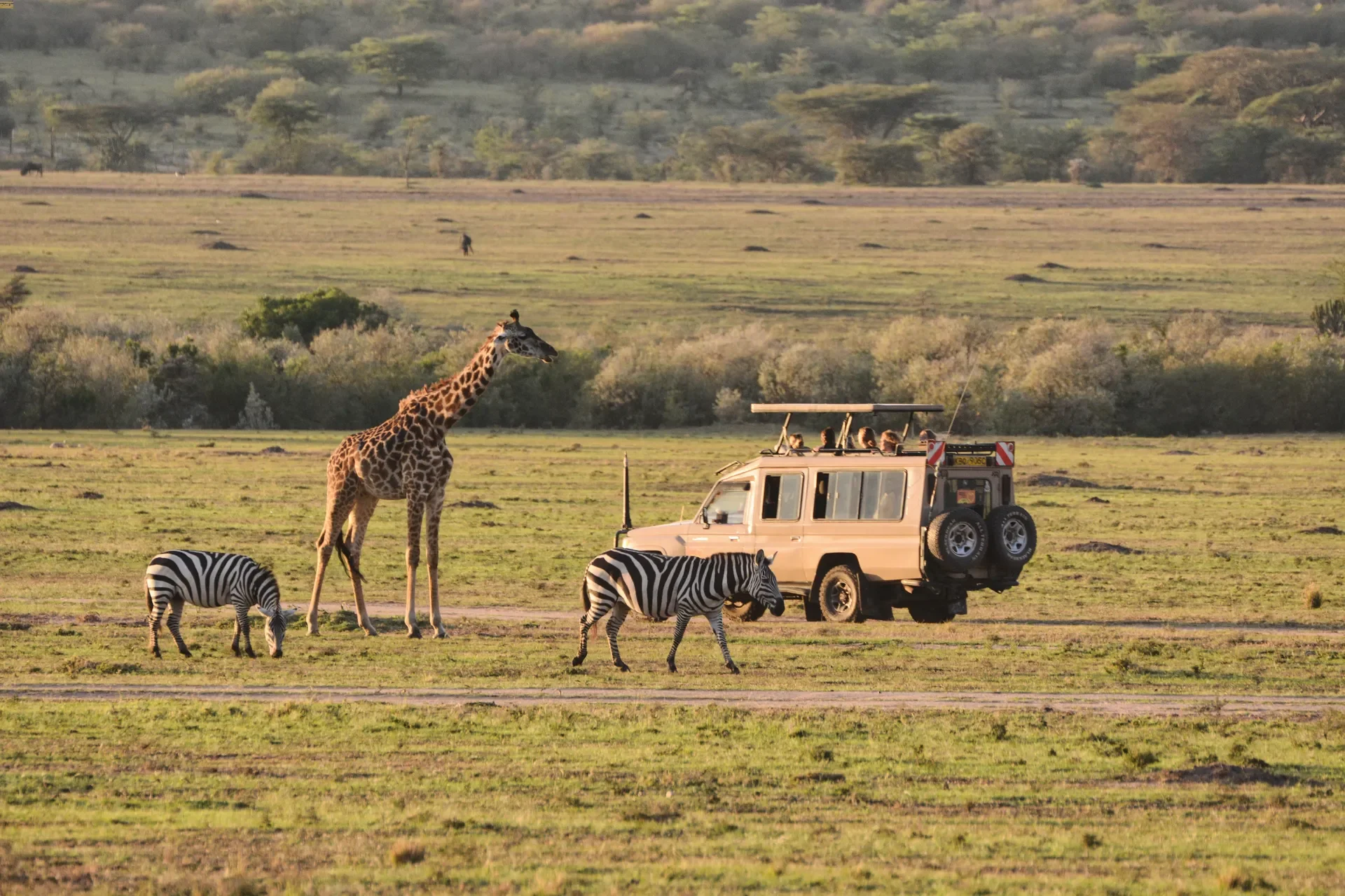 Kenya — Da Watamu a Tsavo. Dove il turchese diventa terra rossa.