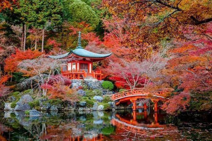 Giappone d'autunno: la stagione del foliage (il periodo del Kōyō)