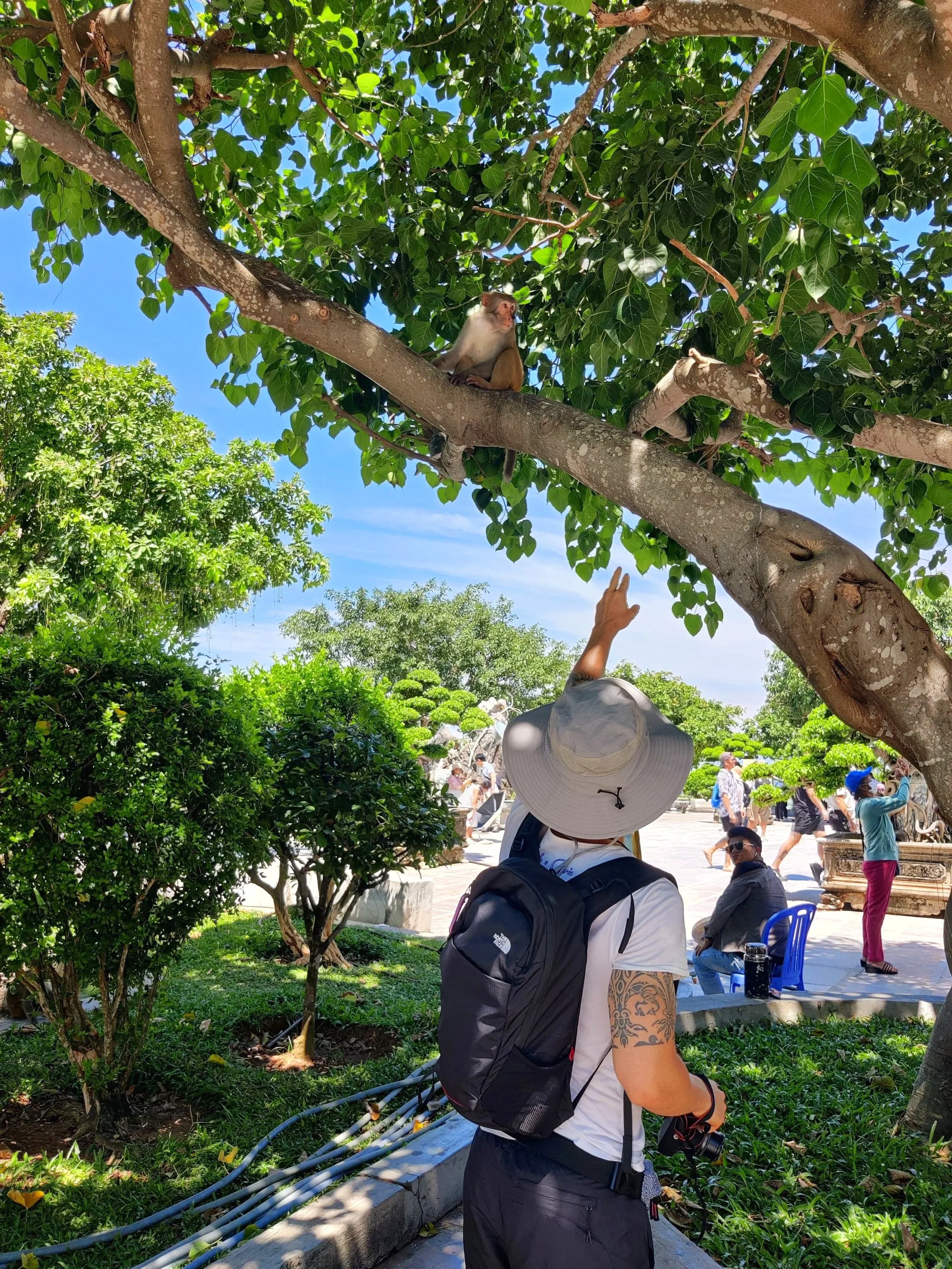 Una persona con cappello grande, maglietta bianca, zainetto nero e tatuaggi sul braccio, sta alzando una mano verso una scimmia su un albero in un parco soleggiato.