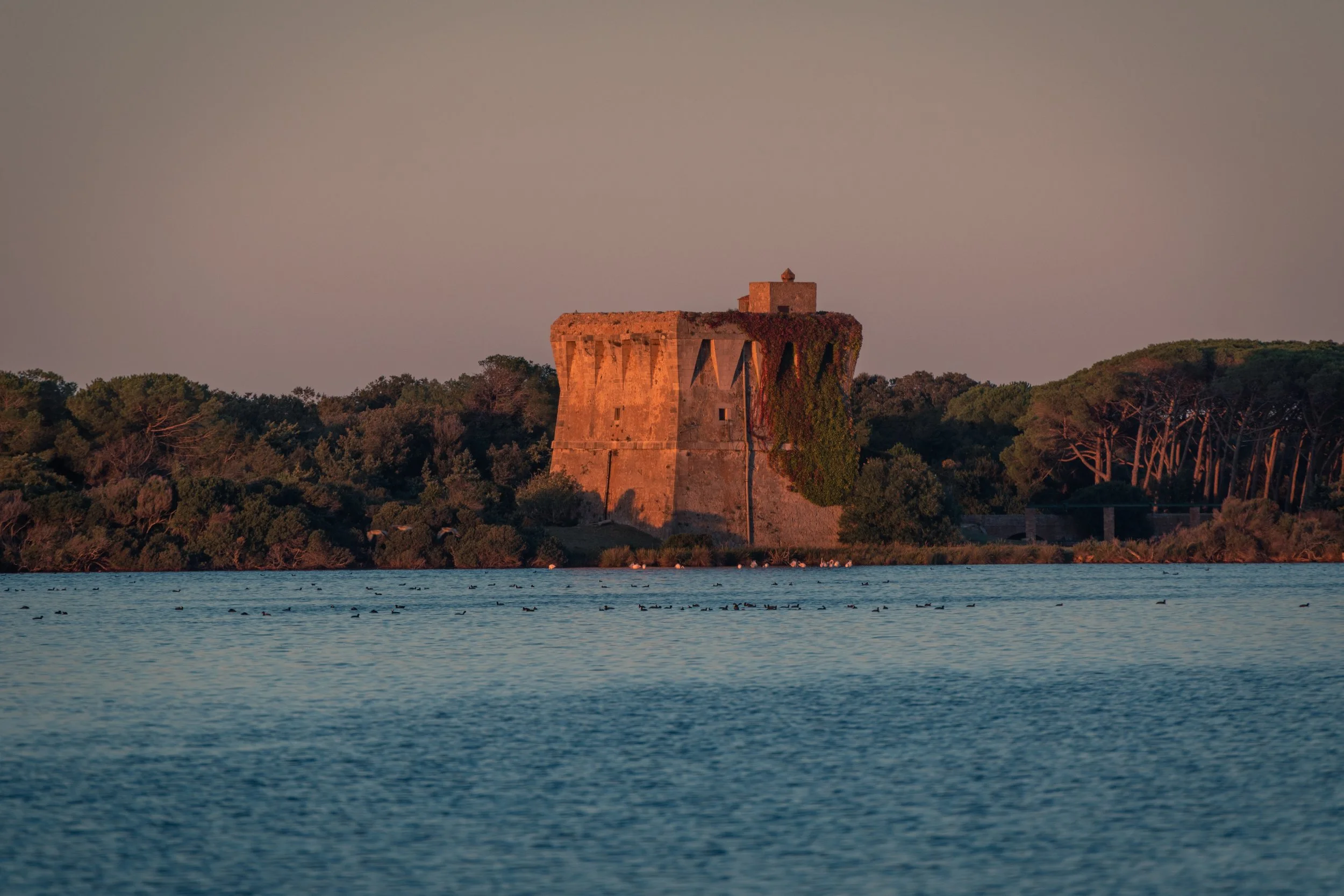 191008_capalbio-TDS-sel-090 (3).jpg