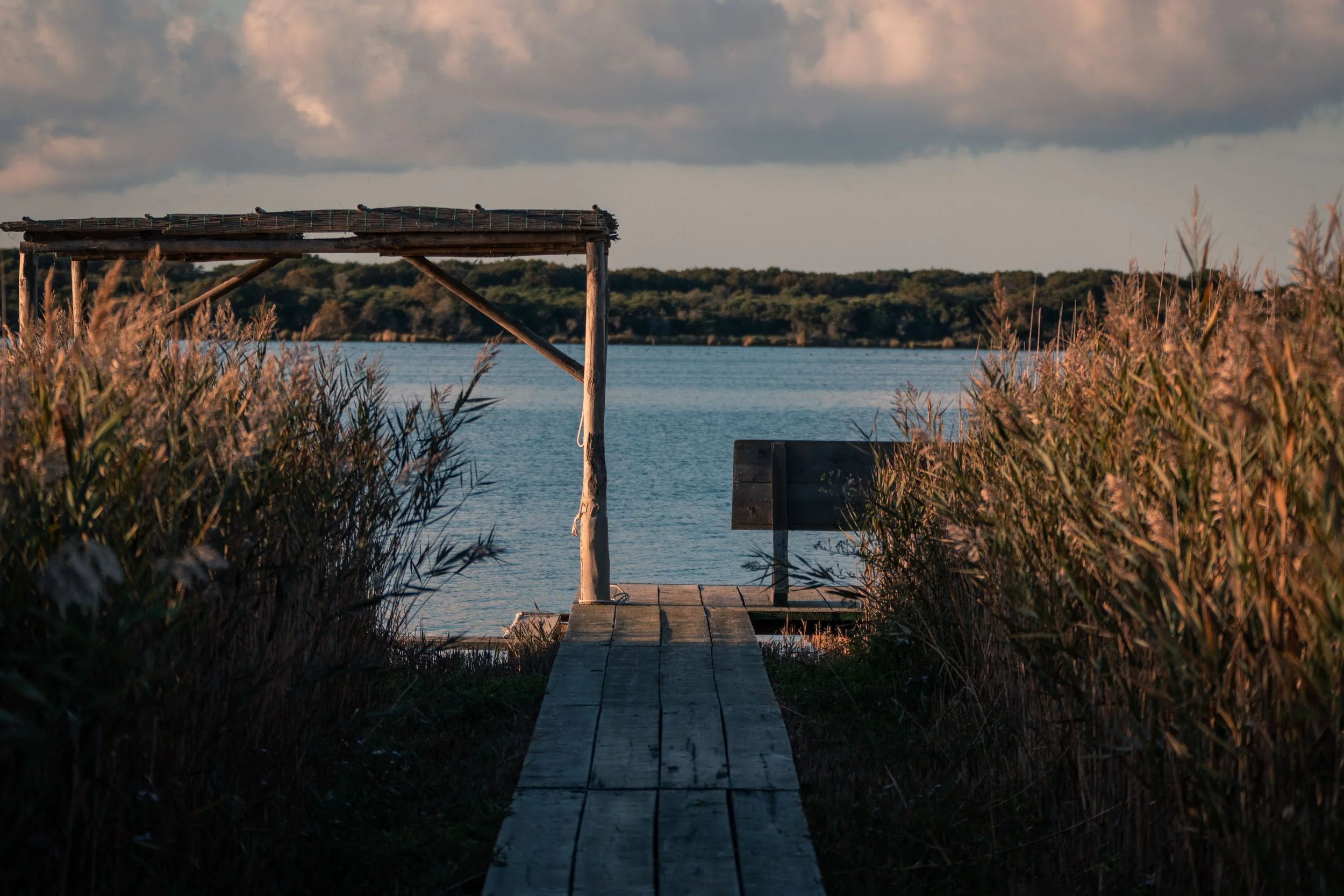 191008_capalbio-TDS-sel-097 (1).jpg