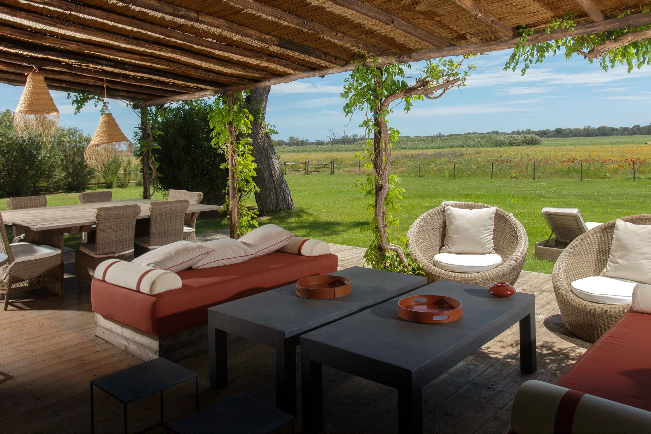 _MG_3209_mod2 (1).jpg