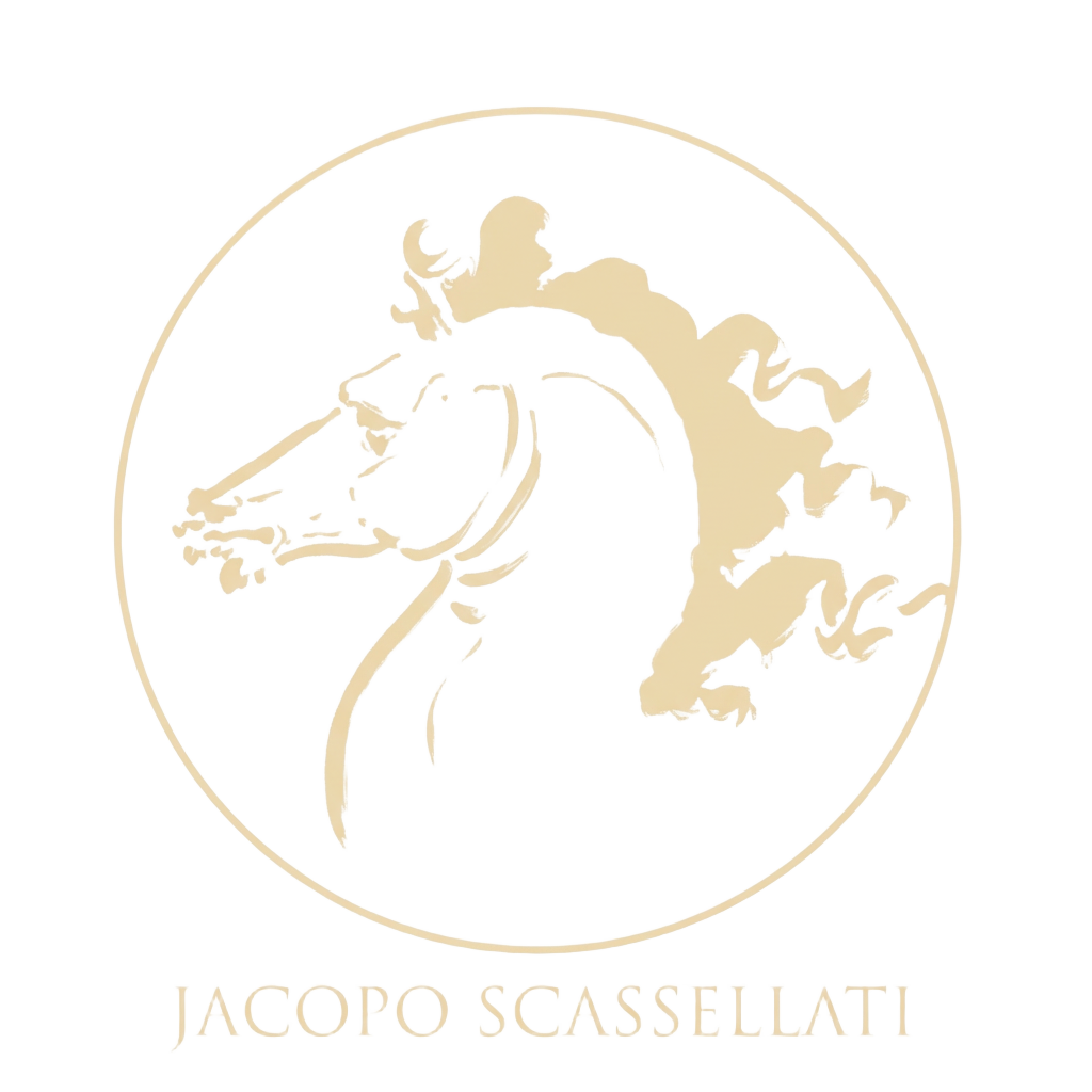 Logo distorto di un volto di donna in stile Art Nouveau con dettagli floreali, con il testo "Jacopo Scassellati" sotto.