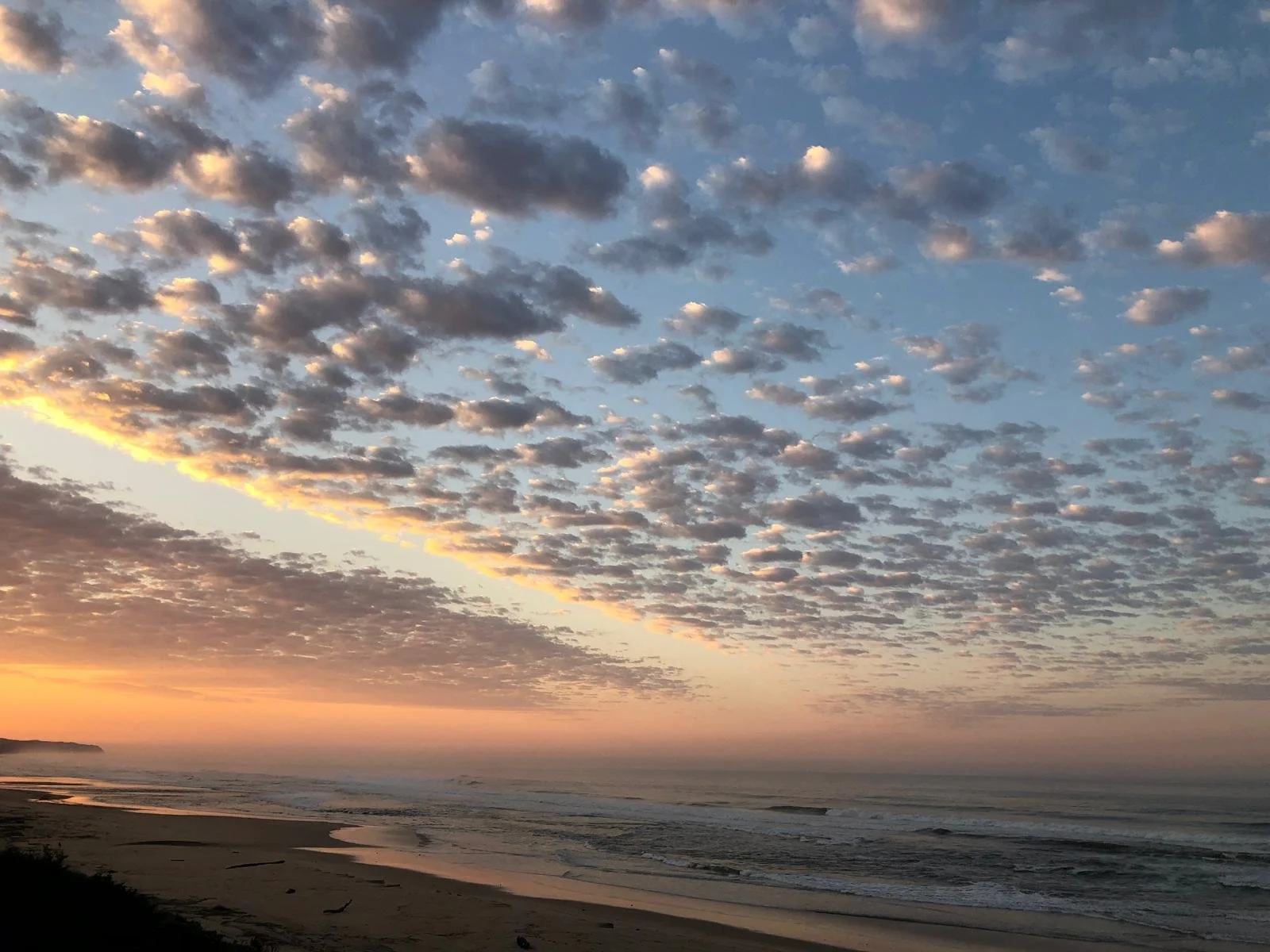 wilderness beach.jpeg