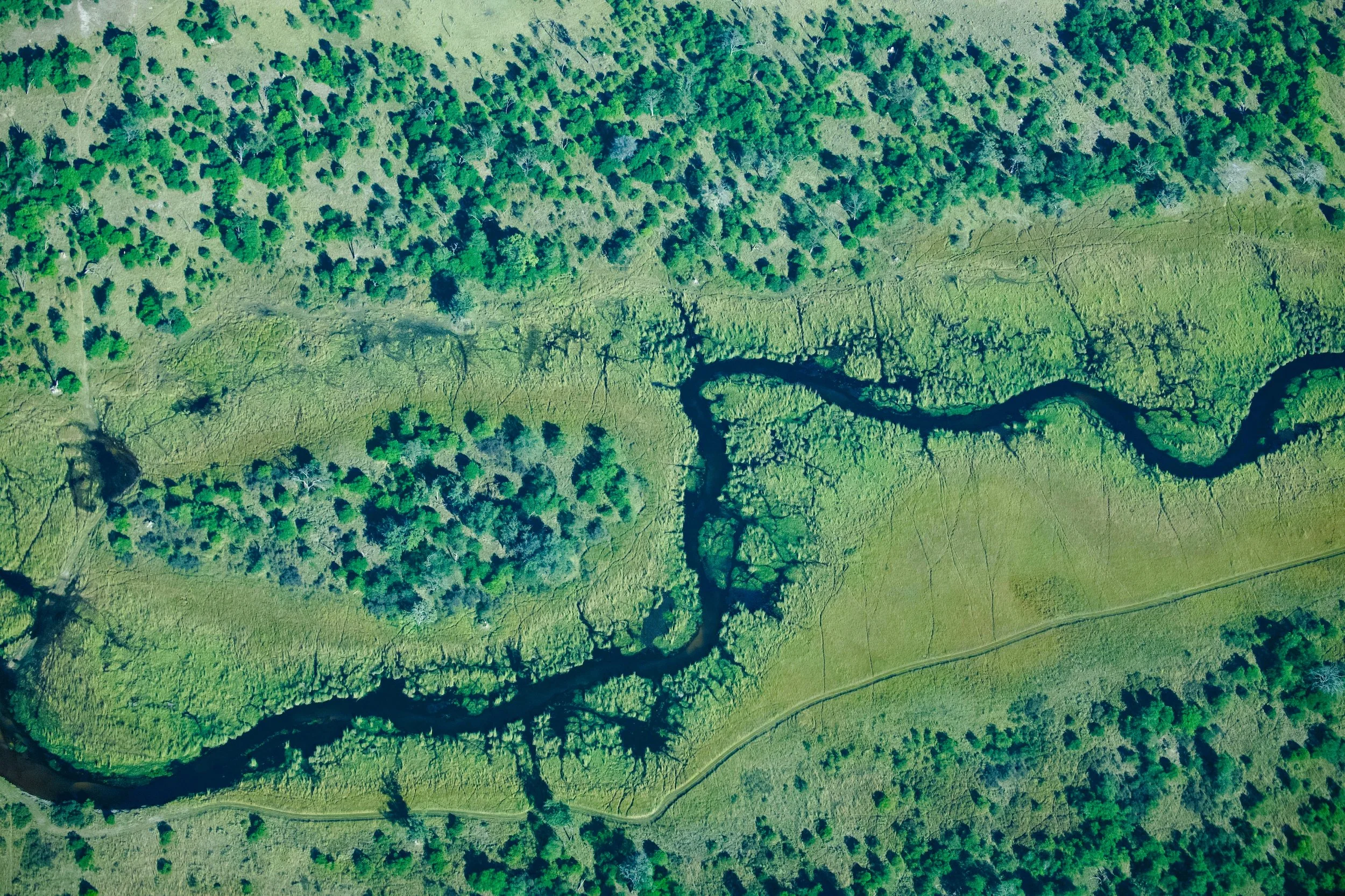 okavango.JPG 2.JPG