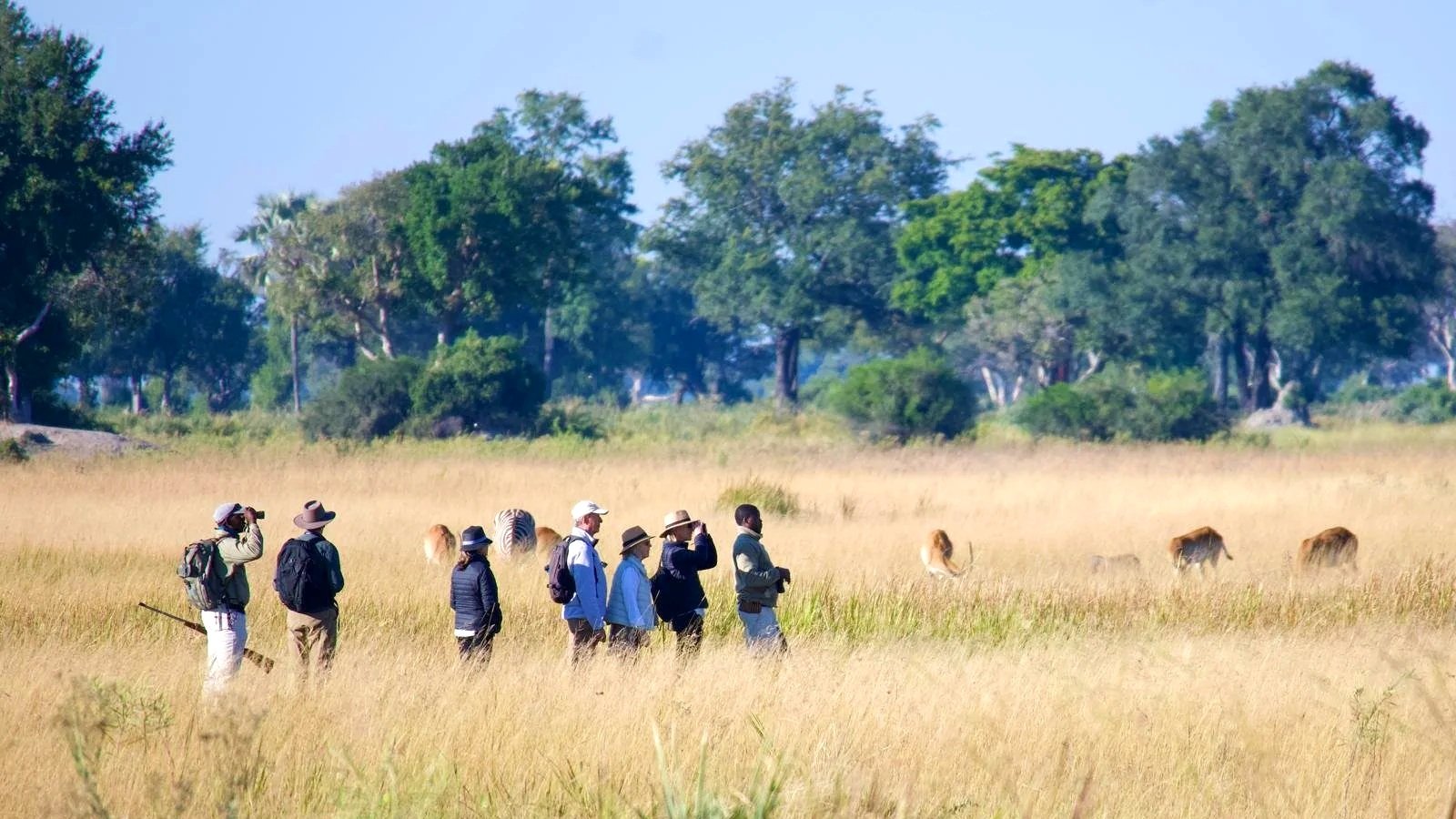Bush walk on an island in the Okavango Delta, Botswana