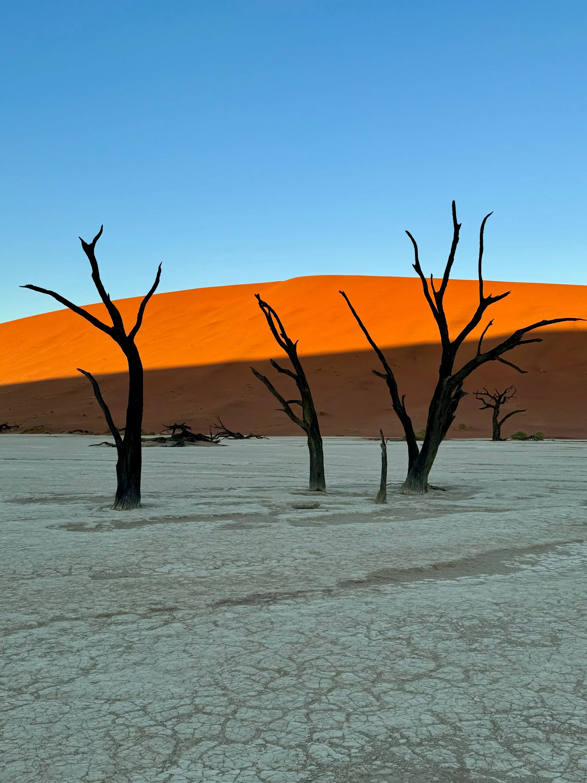 deadvlei.jpg