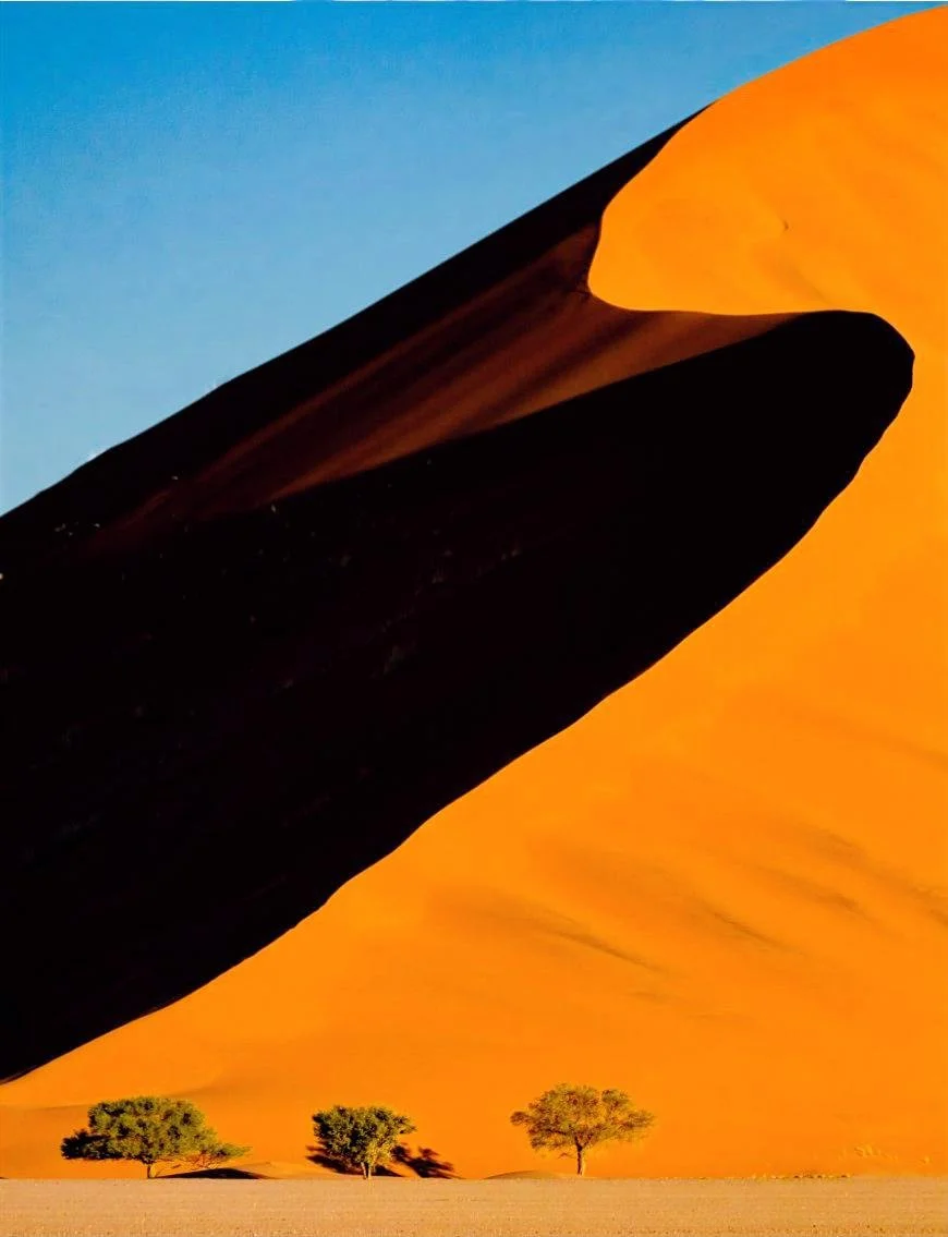 Sossusvlei from the sky copy.JPG