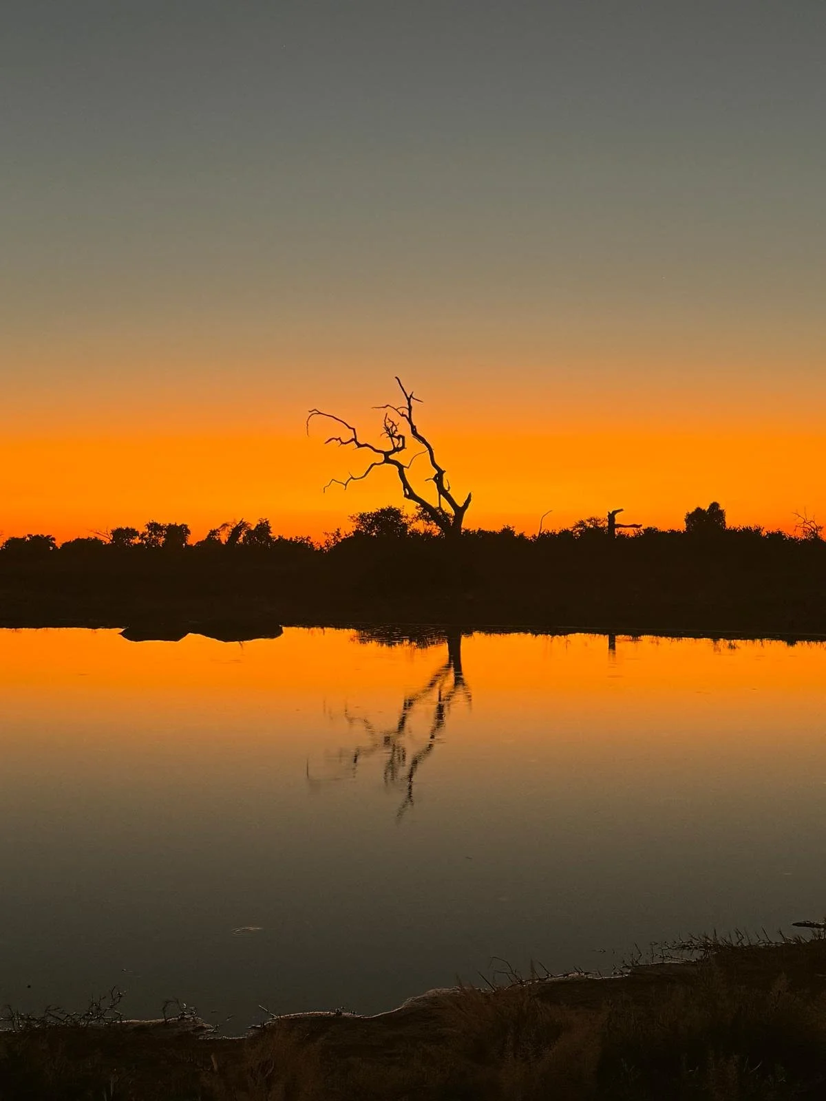 savute sunset 2.jpeg