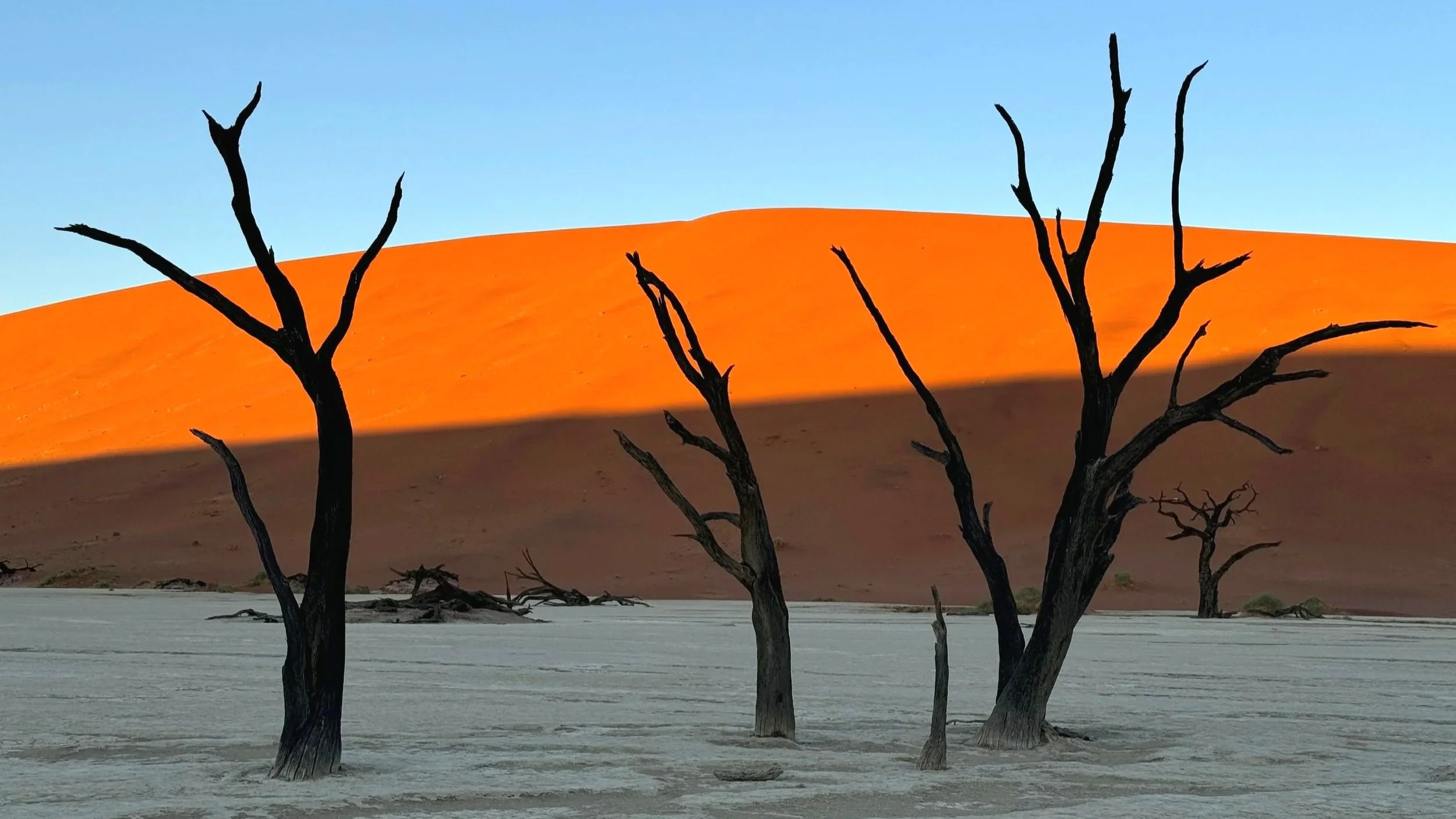 Deadvlei sunrise with red dunes and dead camelthorn trees, Namib Desert, Namibia