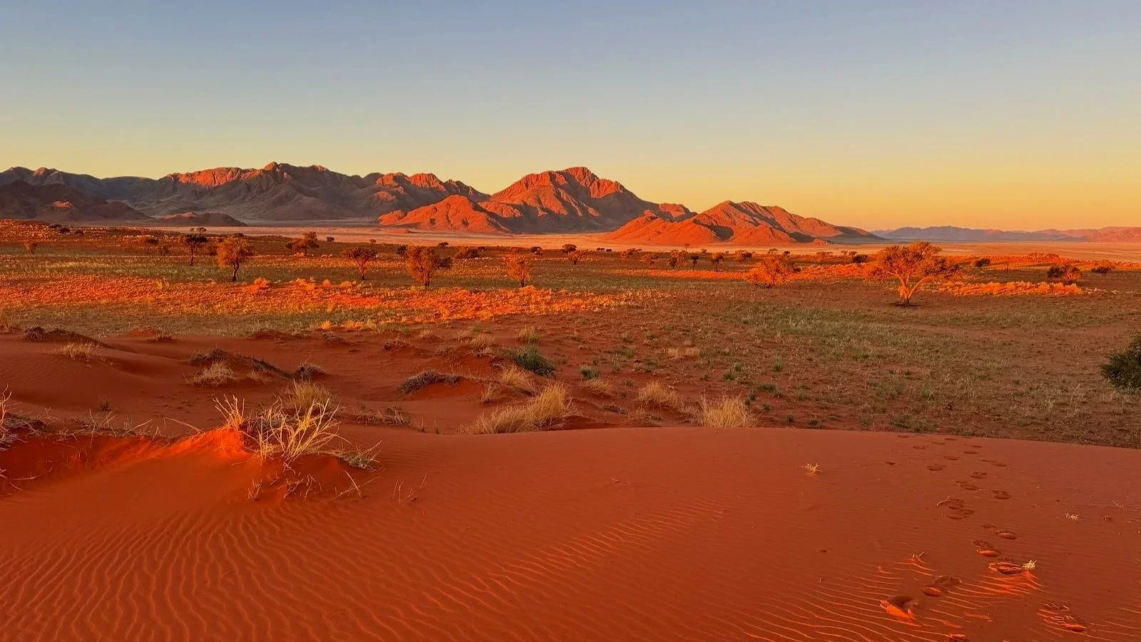 View of red sand dunes glowing at sunset in the Namib Desert, seen from a remote campsite during a Namibia overlanding adventure