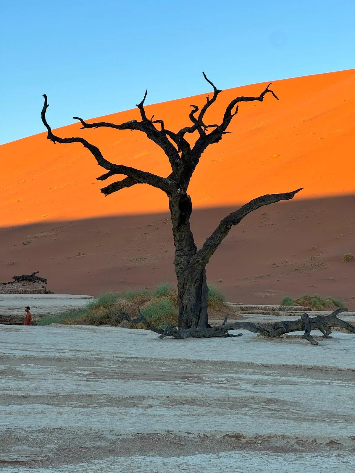deadvlei 3.jpeg