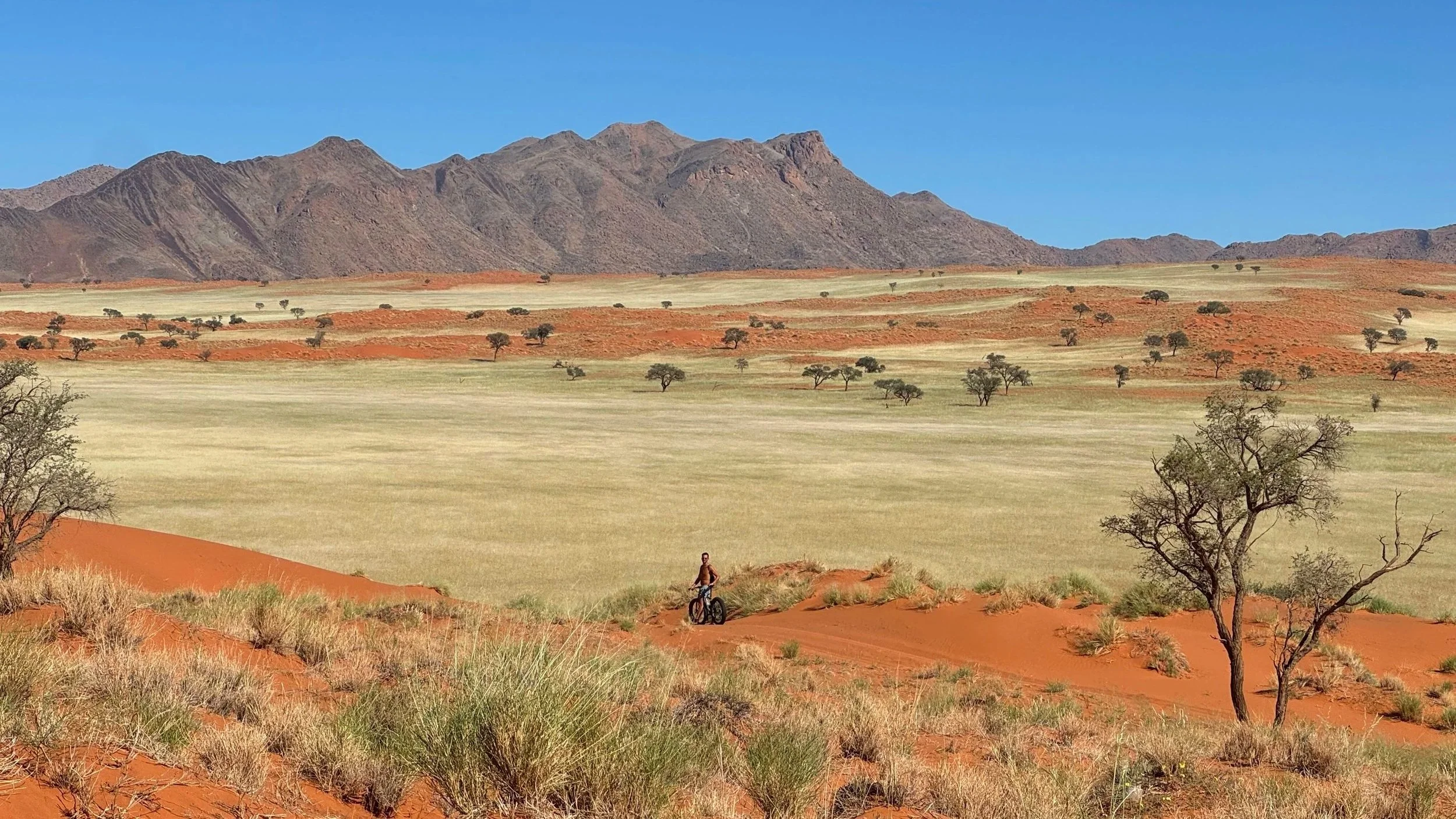 Fatbike exploring Namib Desert dunes and wildlife in Namibrand, Namibia
