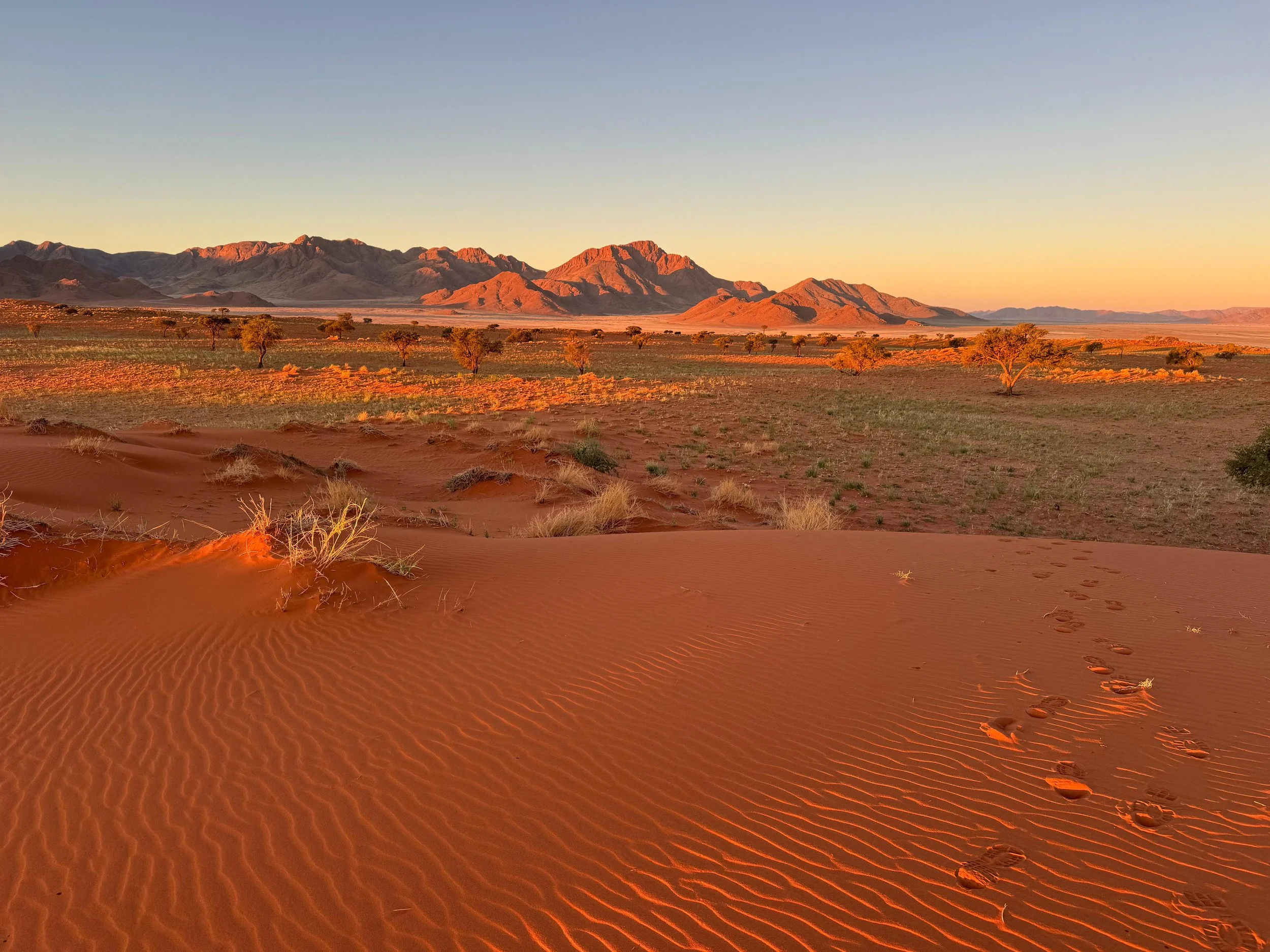 NamidRand Reserve 1.jpg