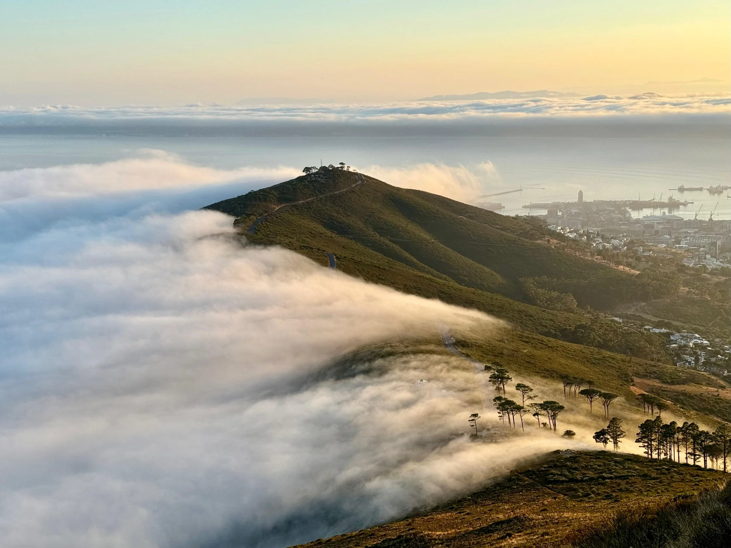 signal hill in the clouds.jpeg