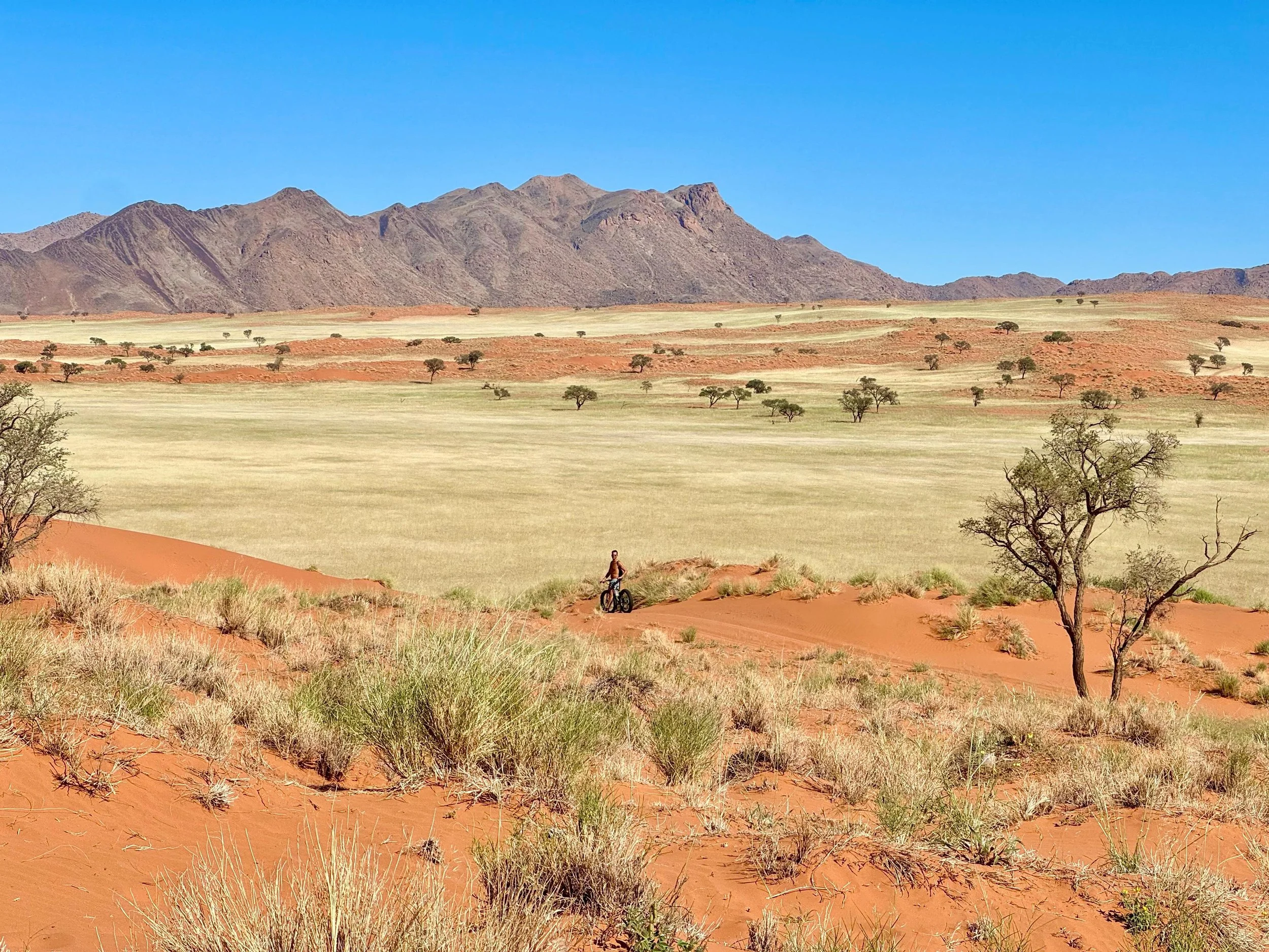 WhatsApp Image 2025-12-24 at 18.13.39.jpeg