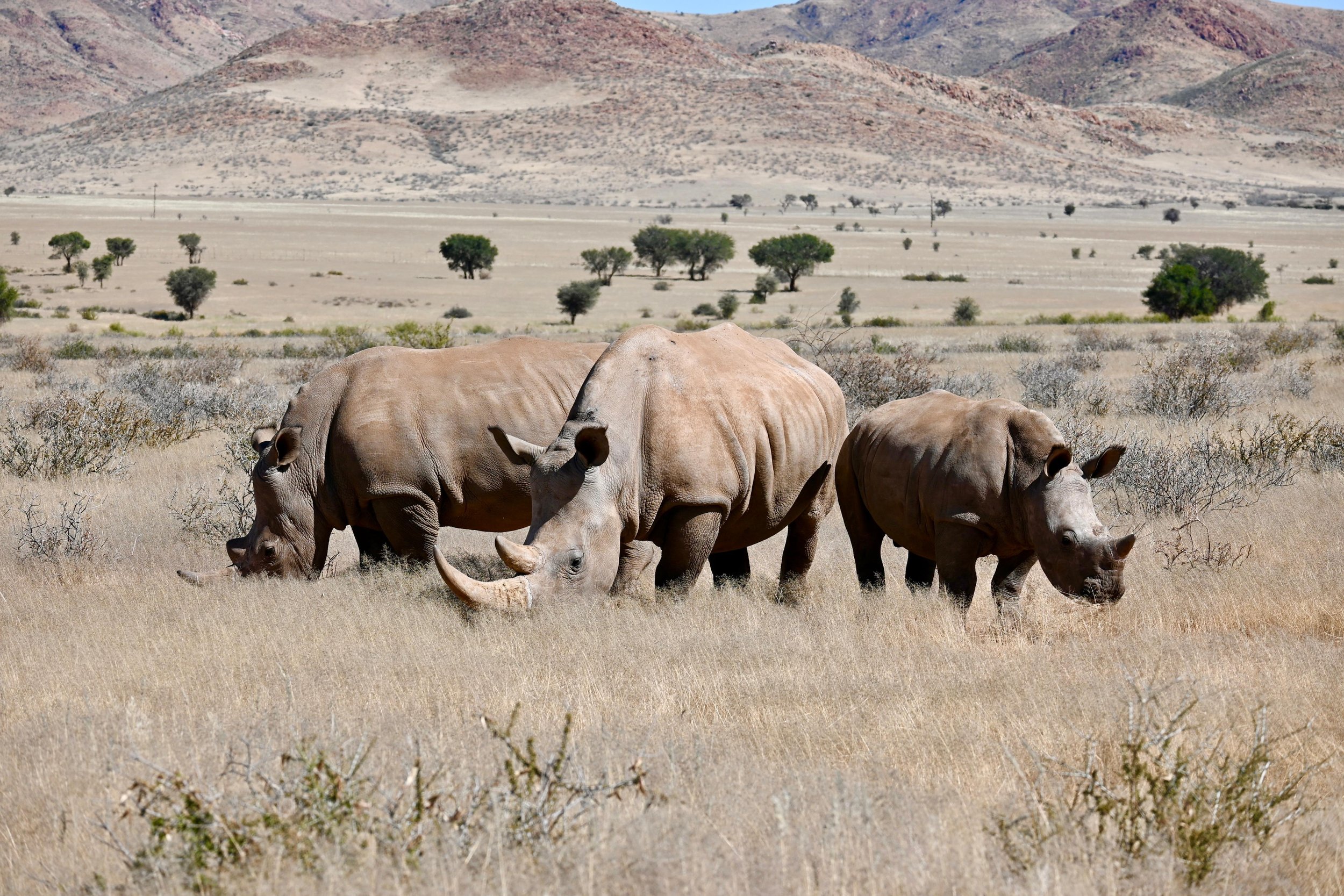 WhatsApp Image 2025-12-26 at 10.32.07.jpeg