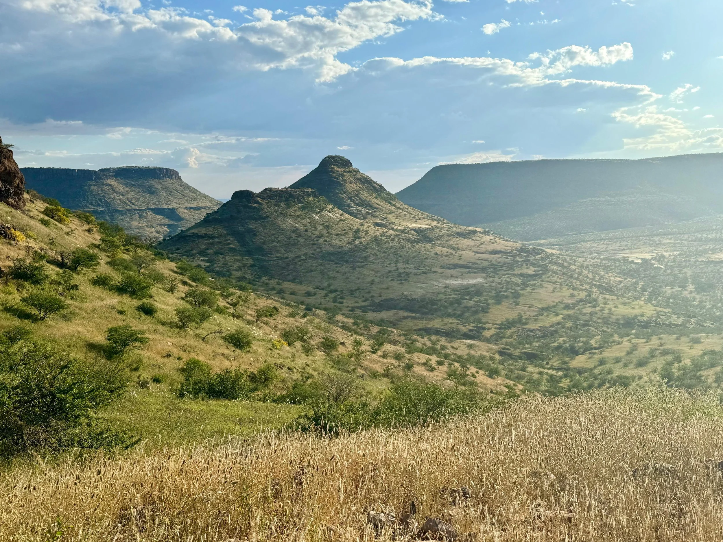 damaraland landscape.jpg